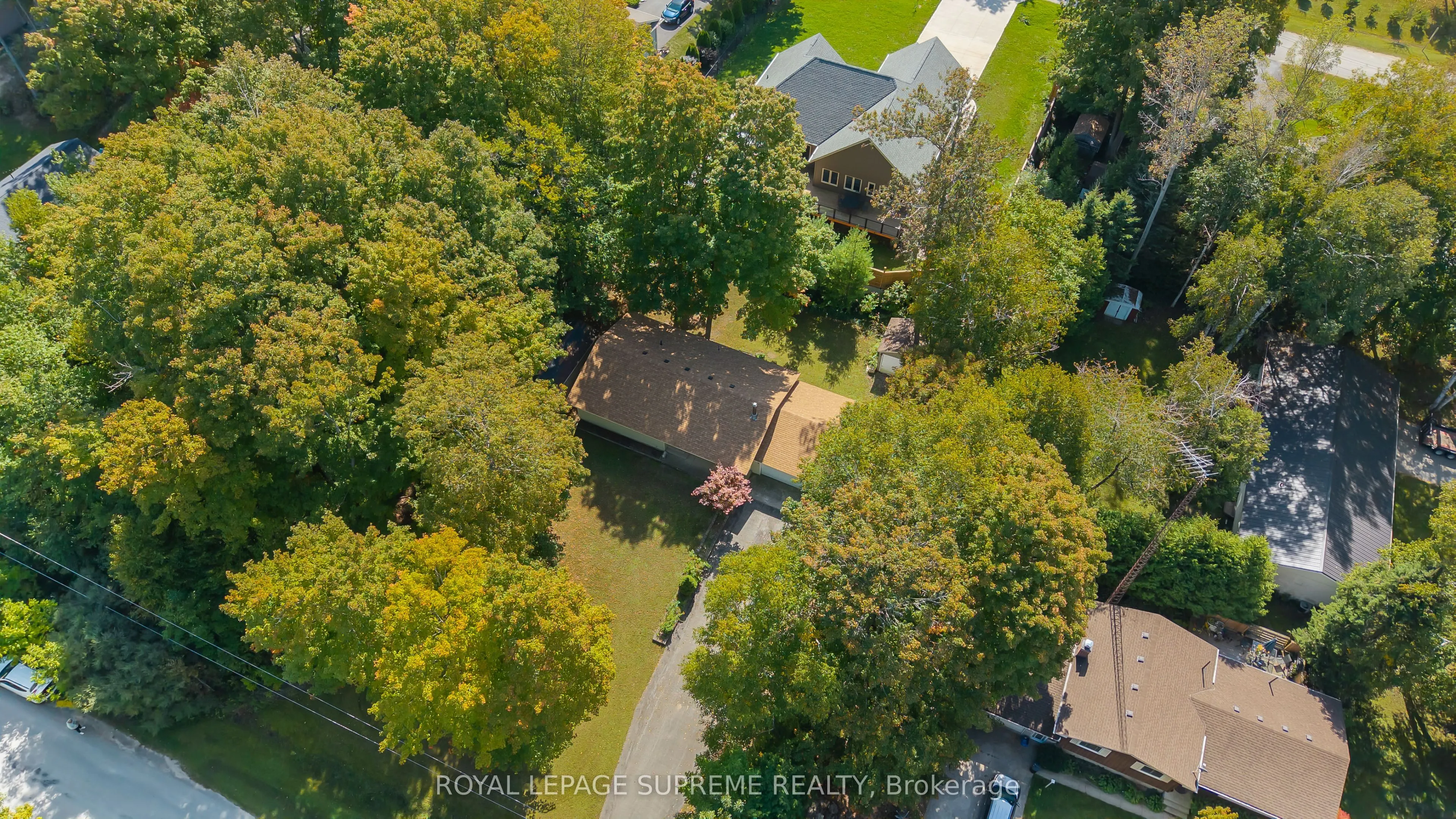 42 Birch Street