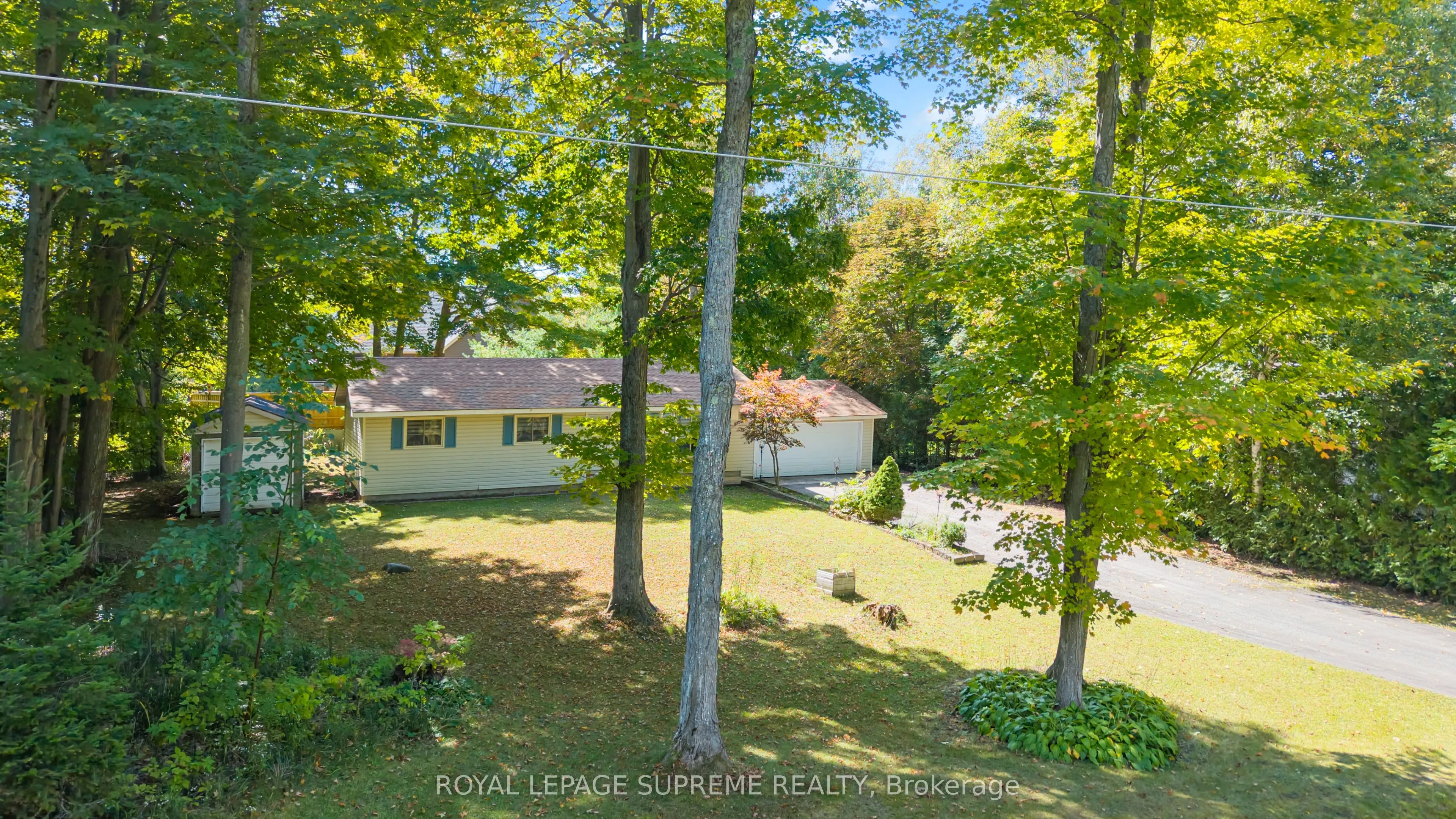 42 Birch Street