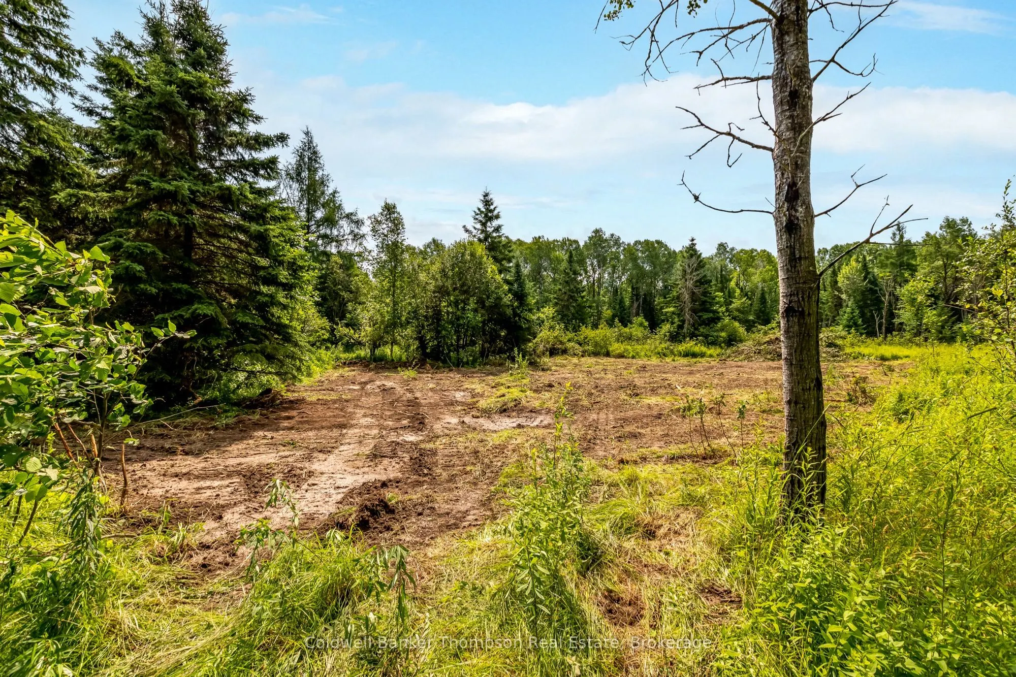 Bartlett Lake Road