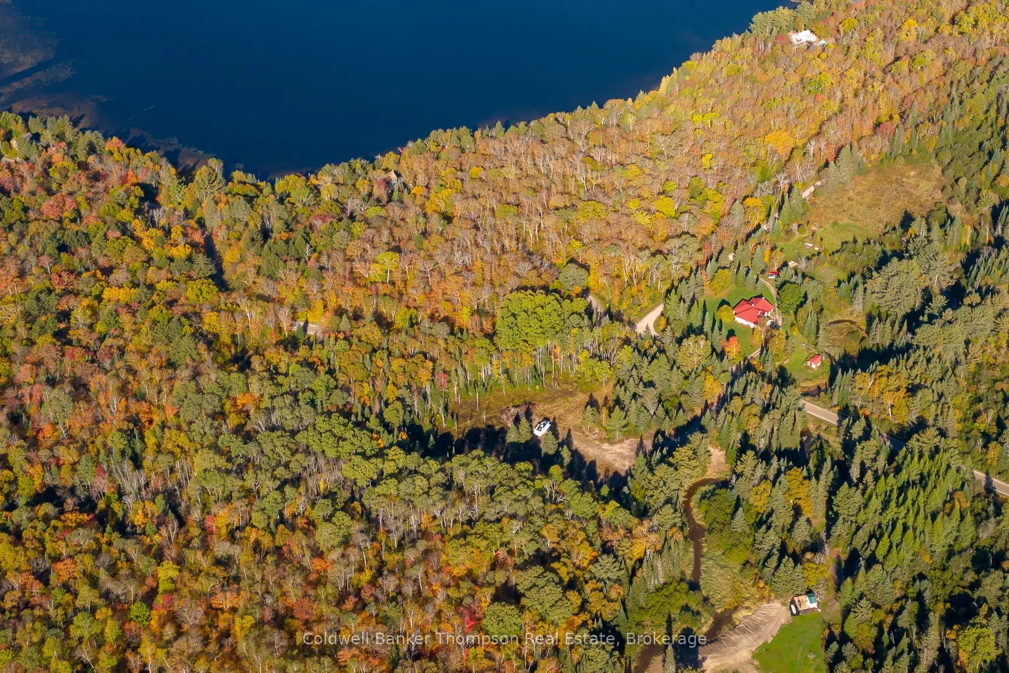 Bartlett Lake Road