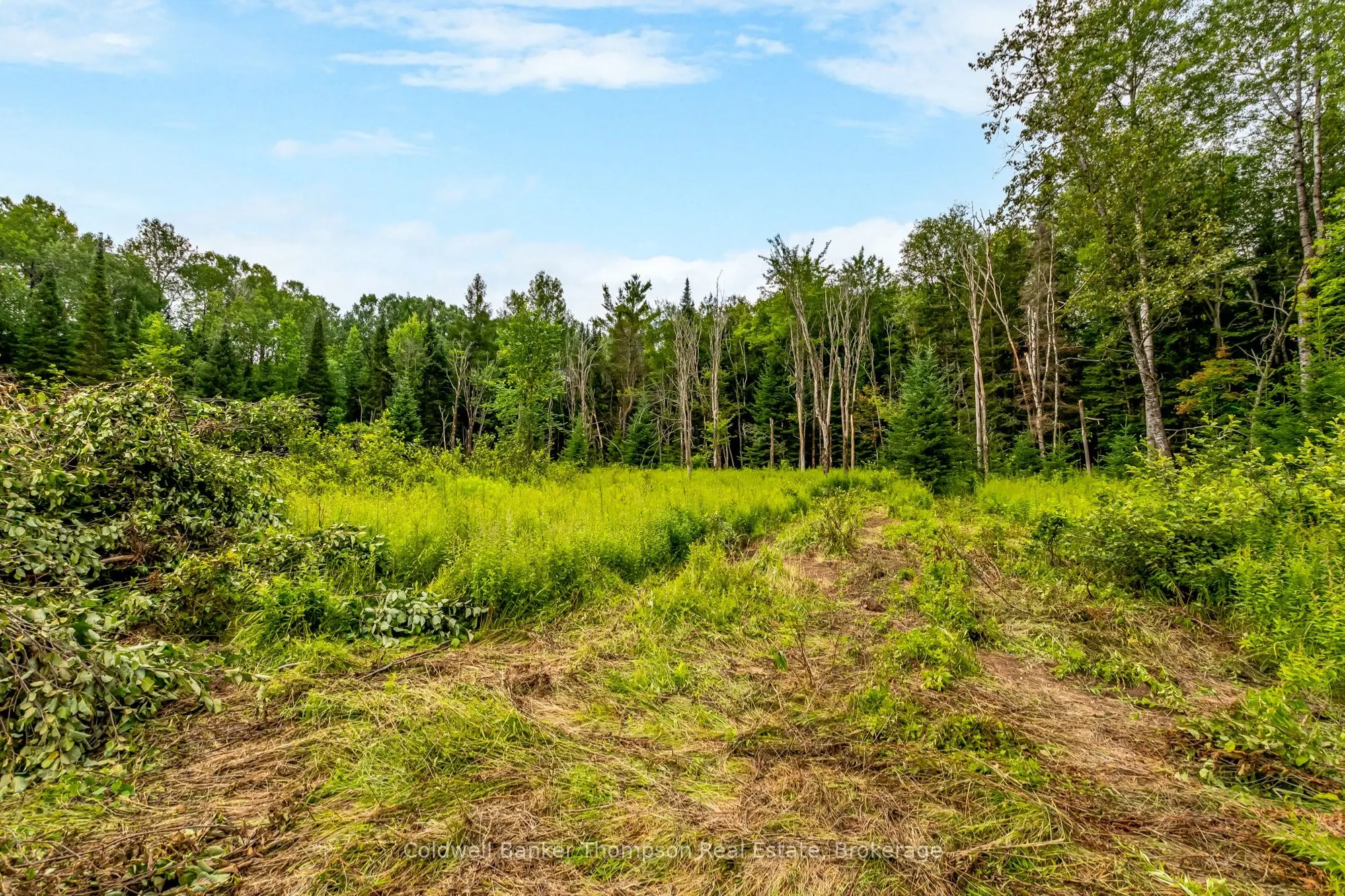Bartlett Lake Road