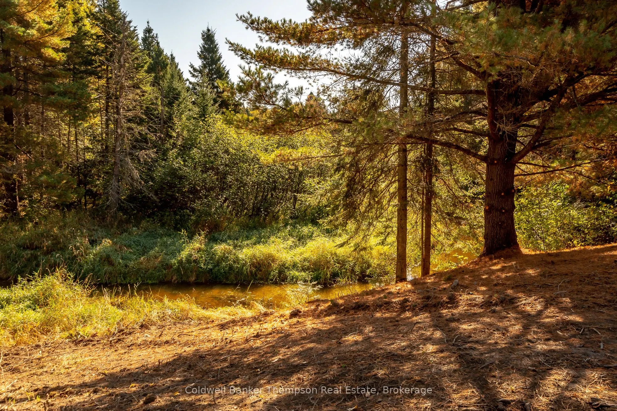 Bartlett Lake Road