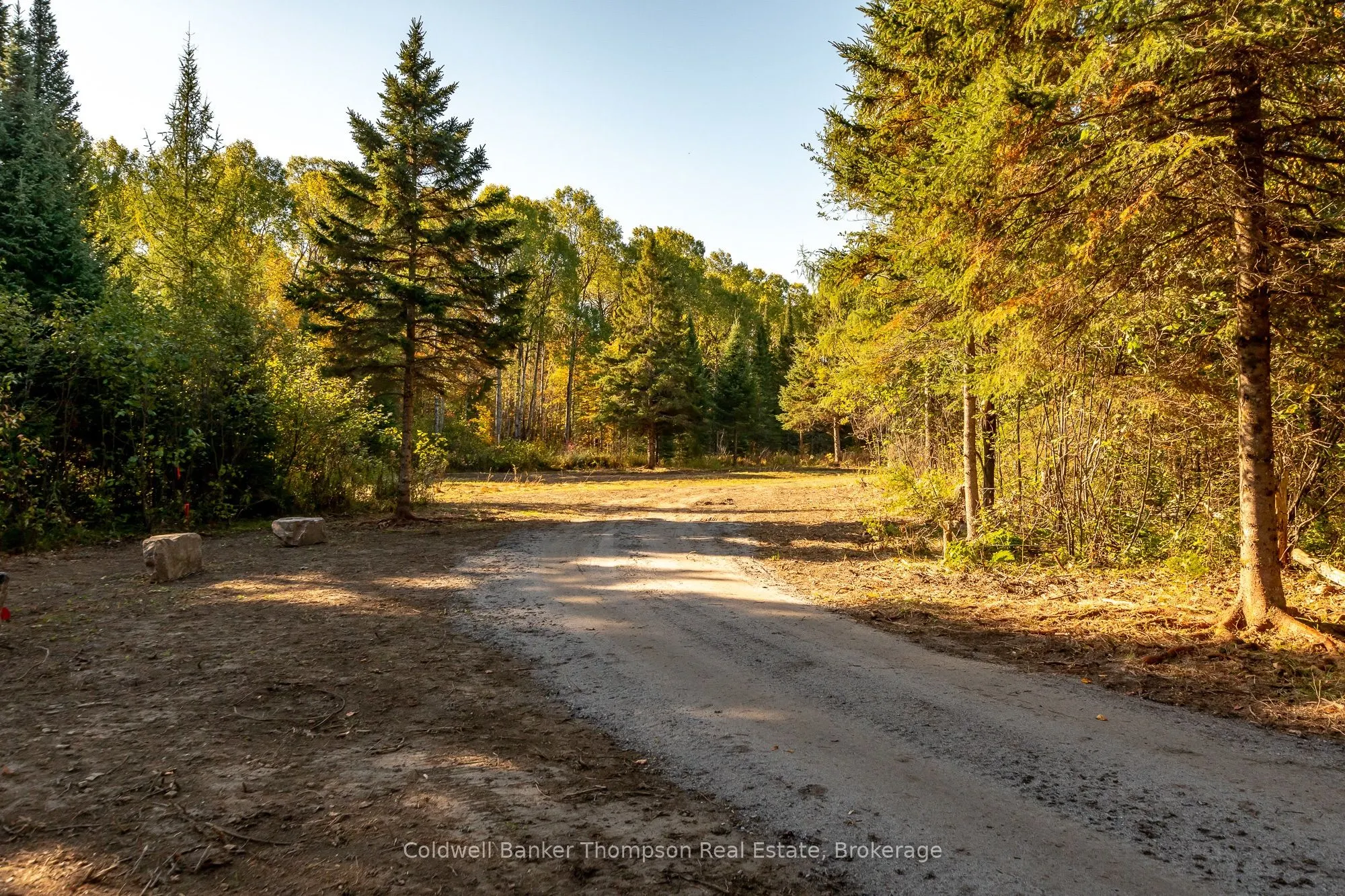 Bartlett Lake Road