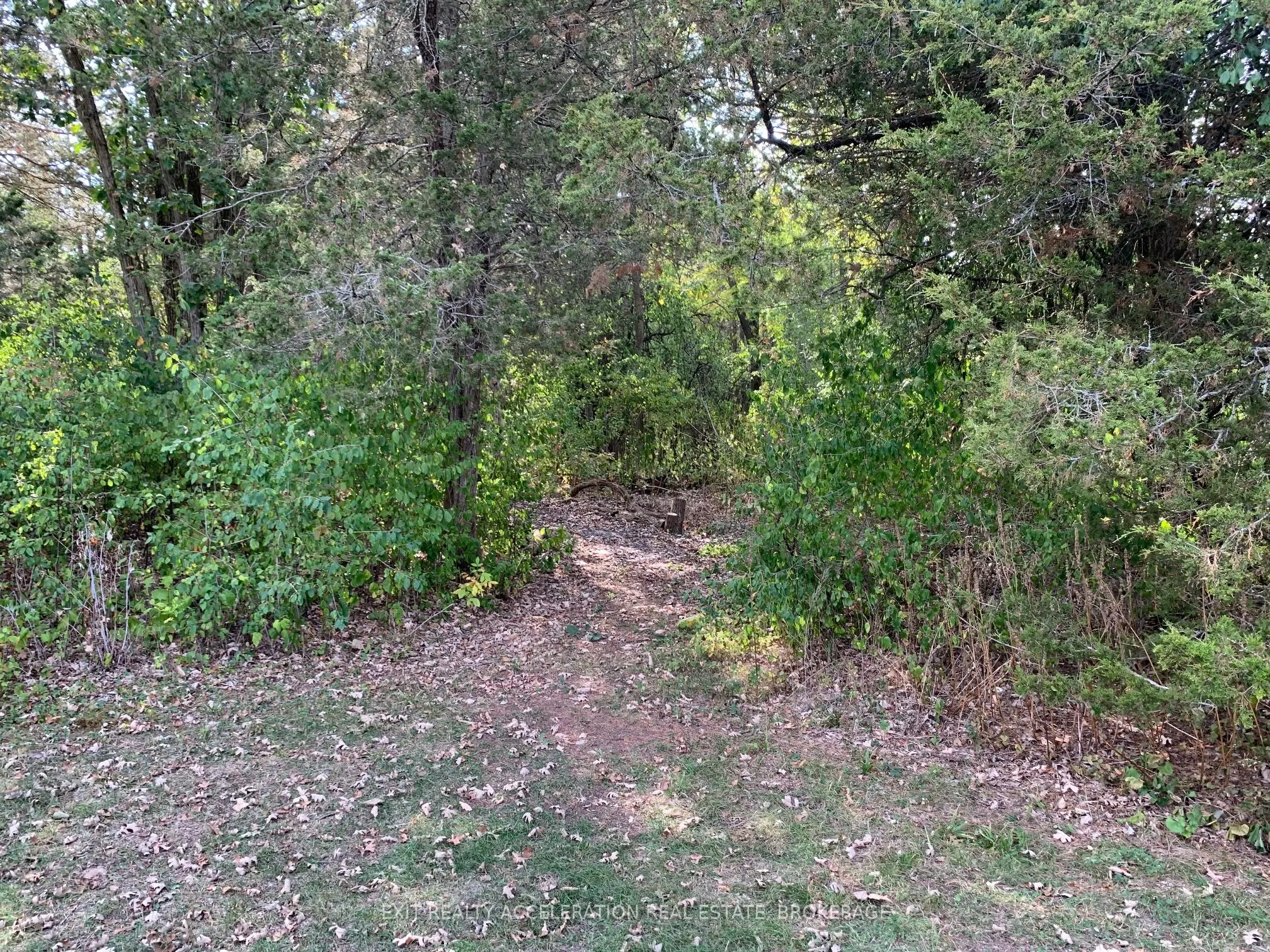 1714 County Rd 9