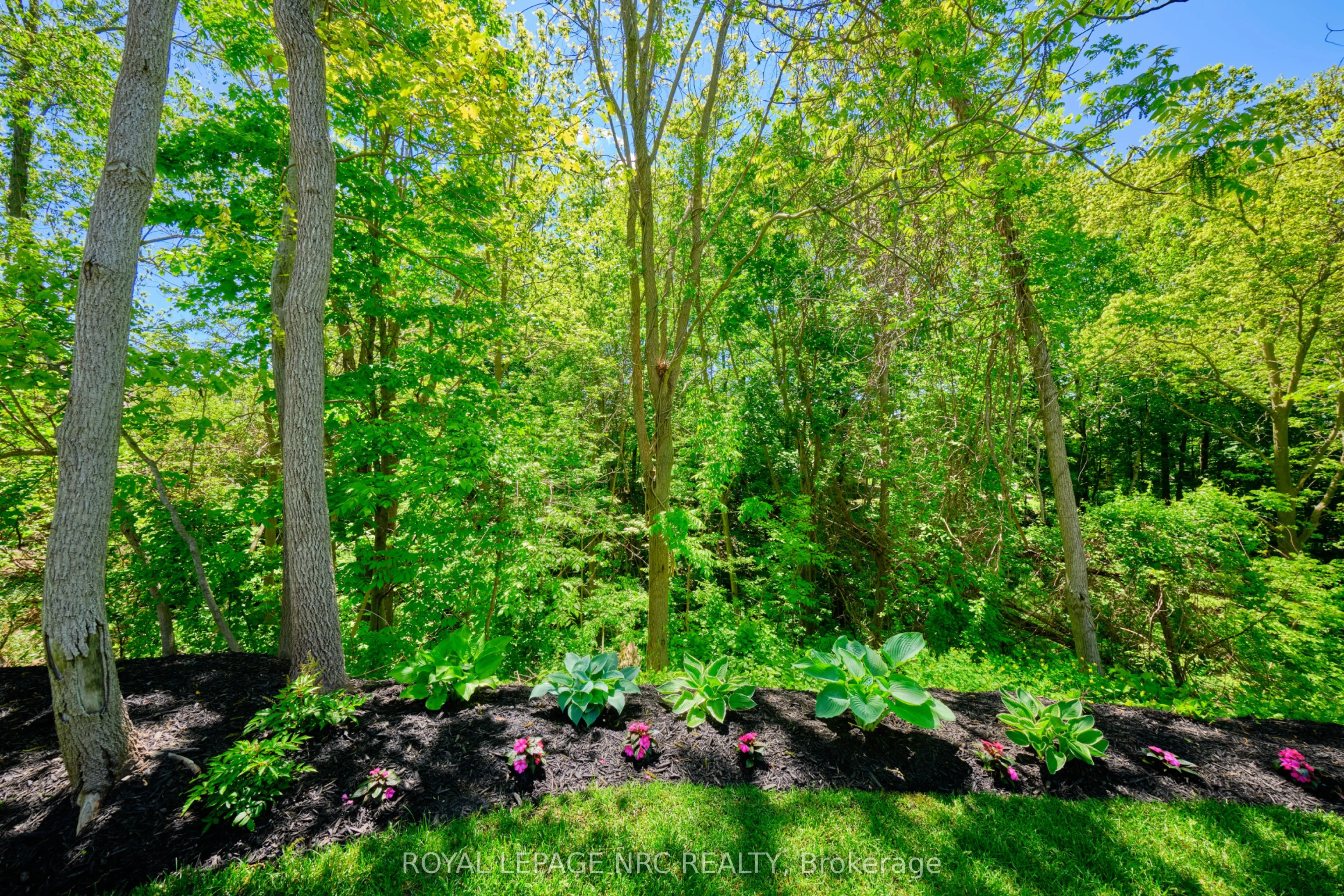 190 CANBORO Road, #18