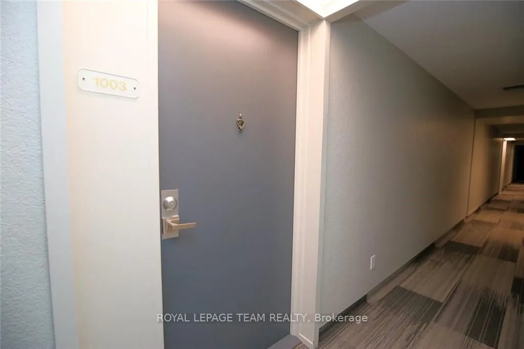 1100 Ambleside Drive, #1003