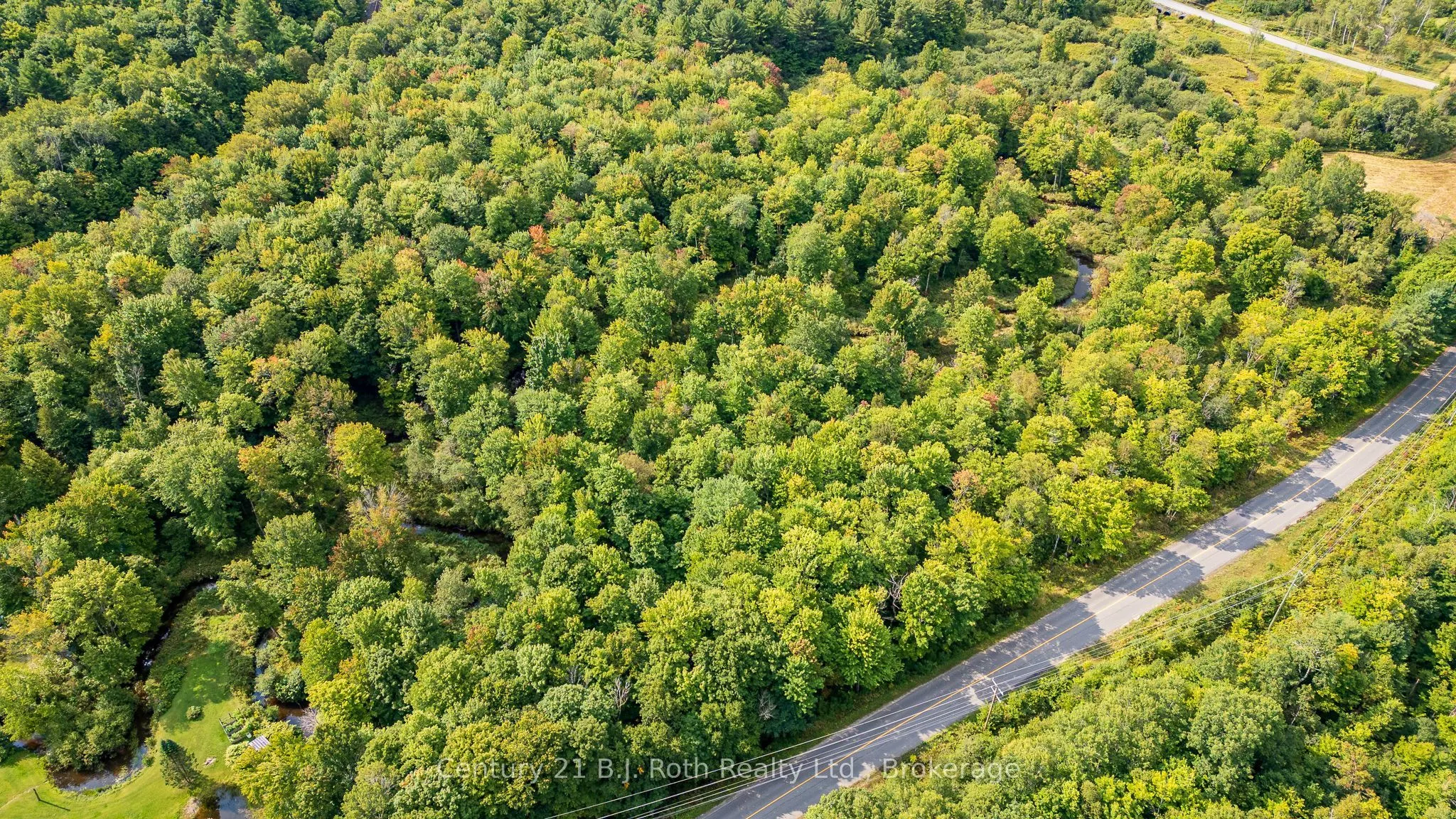 LOT 20 BEIERS Road