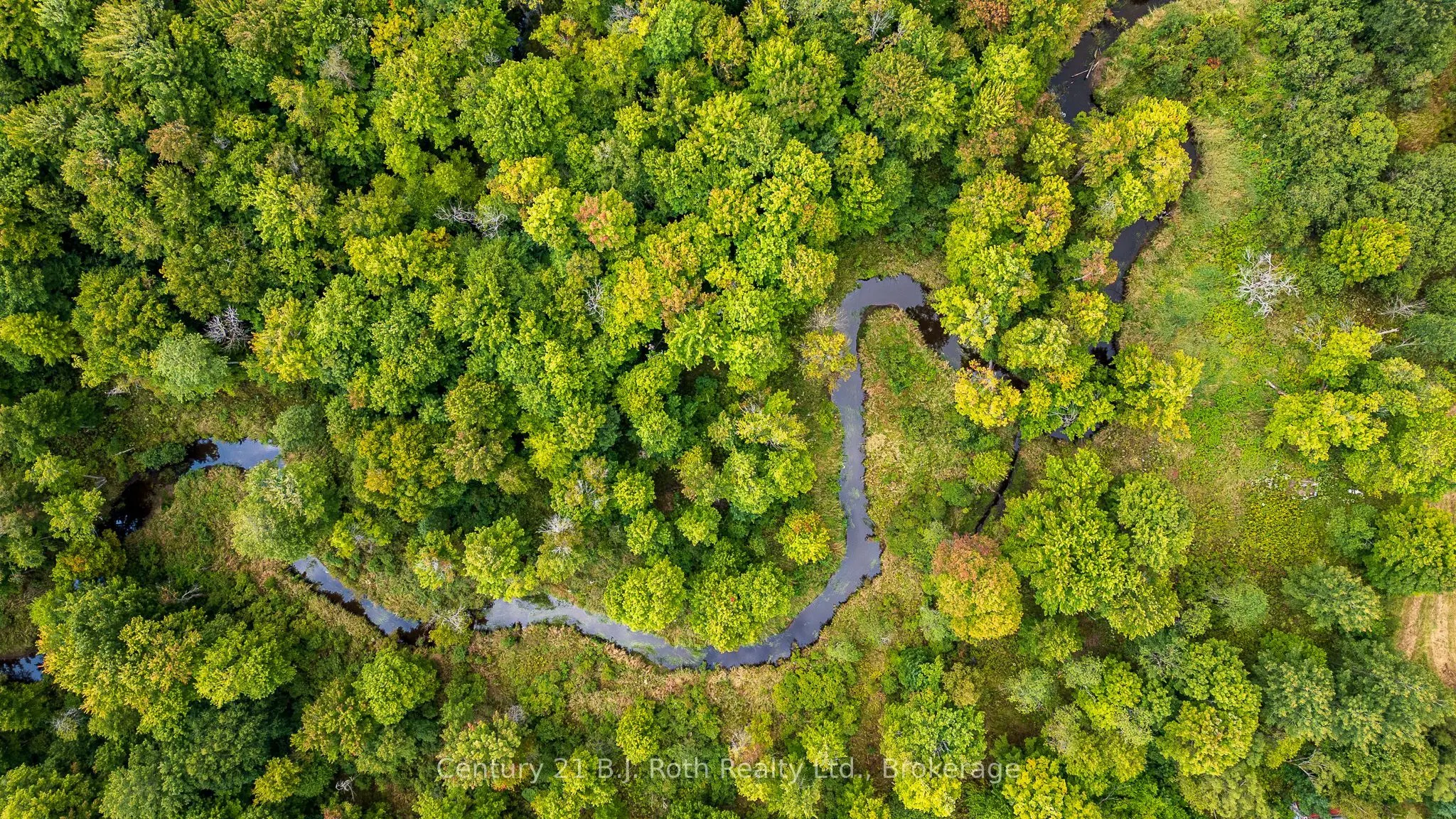 LOT 20 BEIERS Road