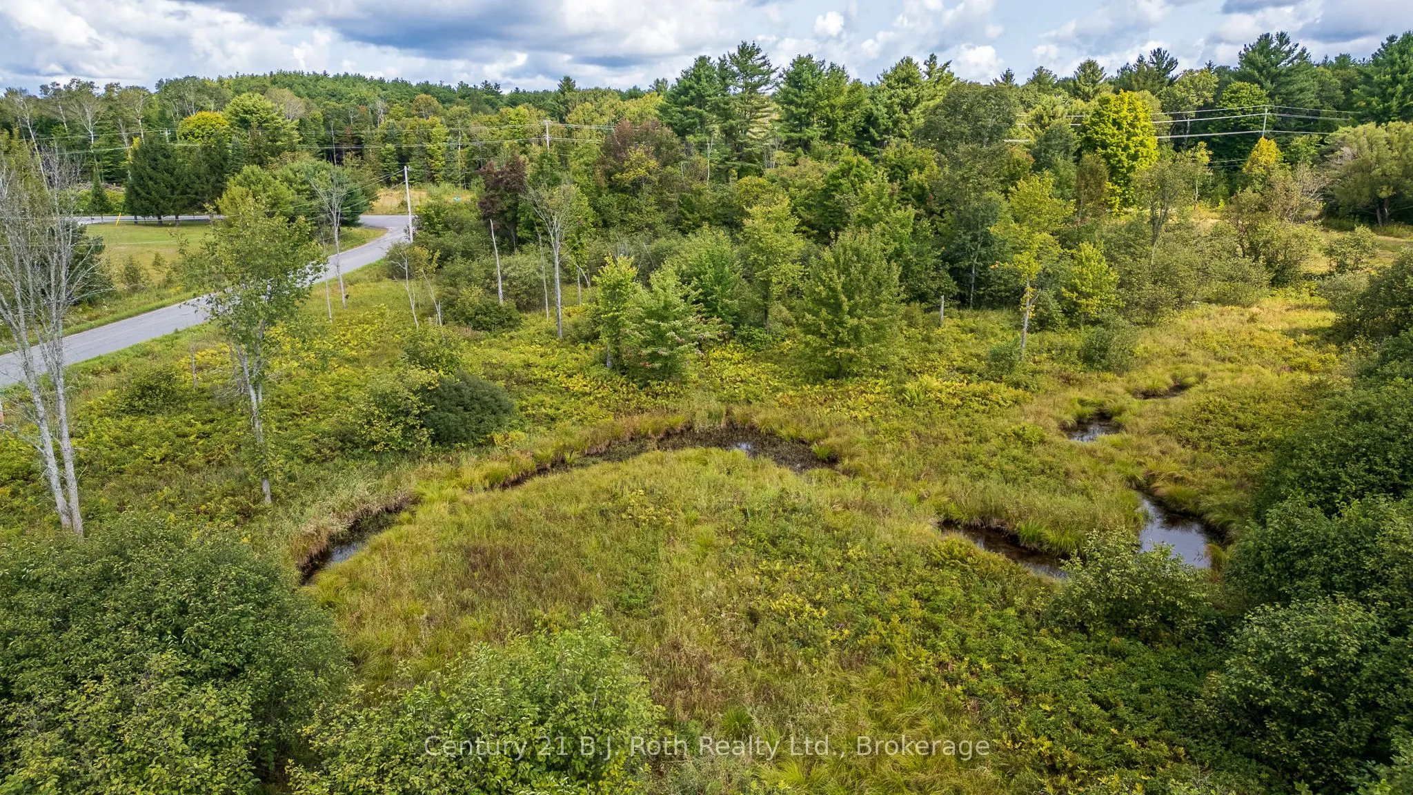 LOT 20 BEIERS Road
