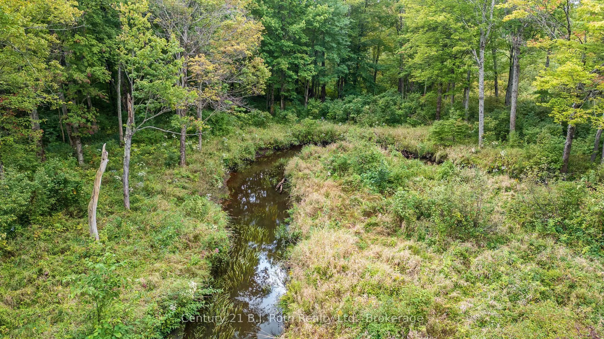 LOT 20 BEIERS Road