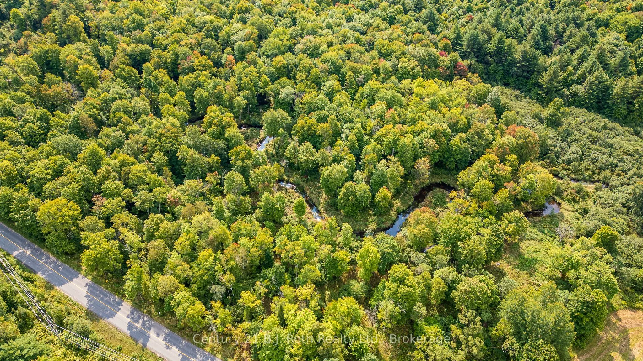 LOT 20 BEIERS Road
