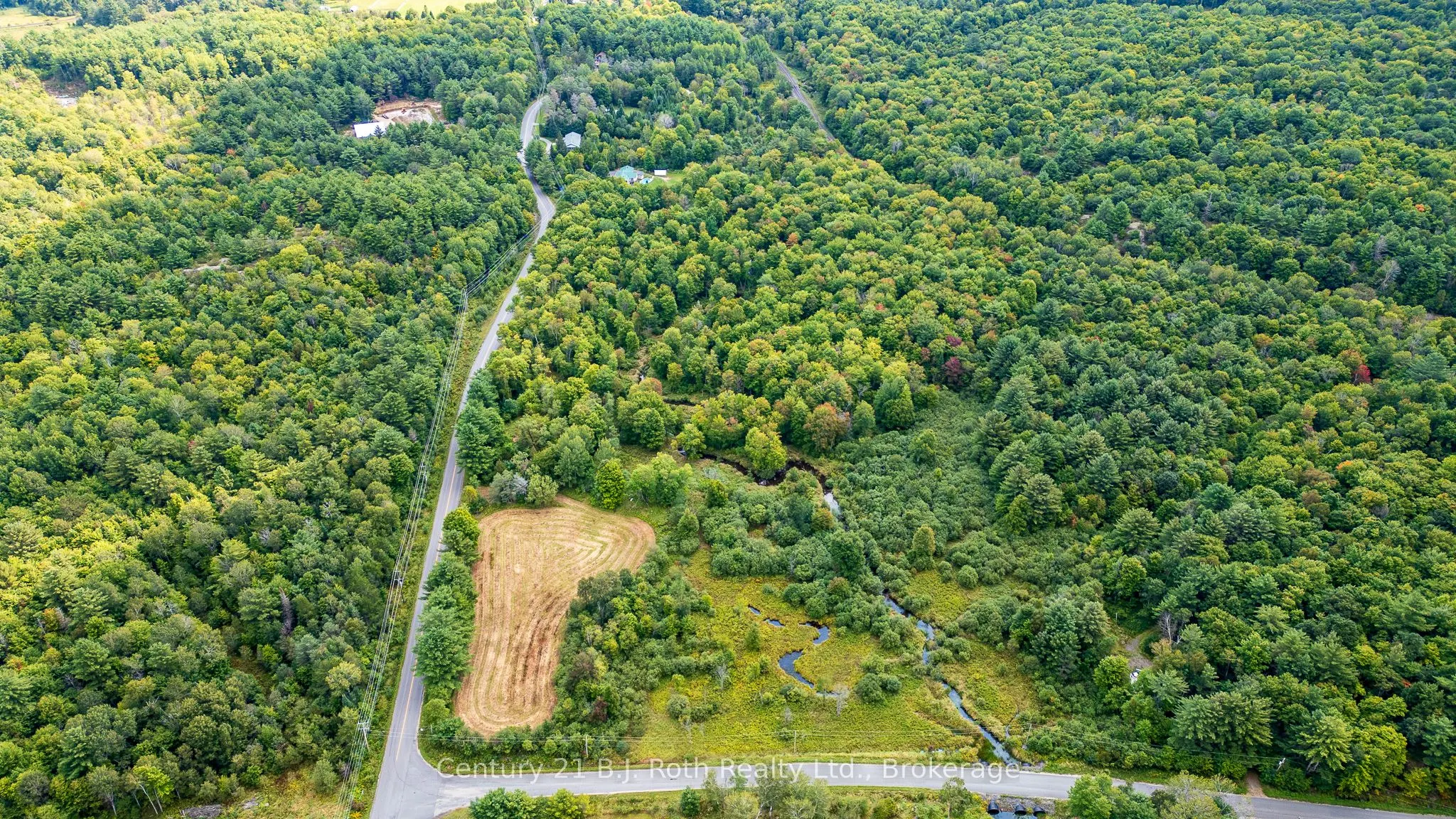 LOT 20 BEIERS Road