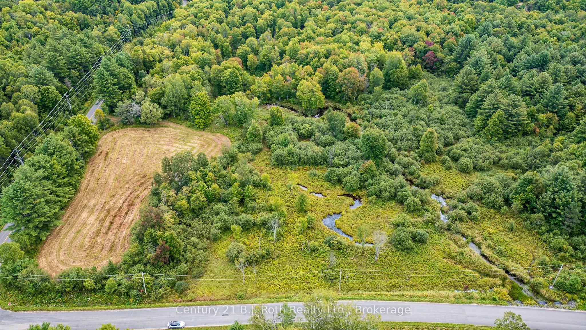 LOT 20 BEIERS Road