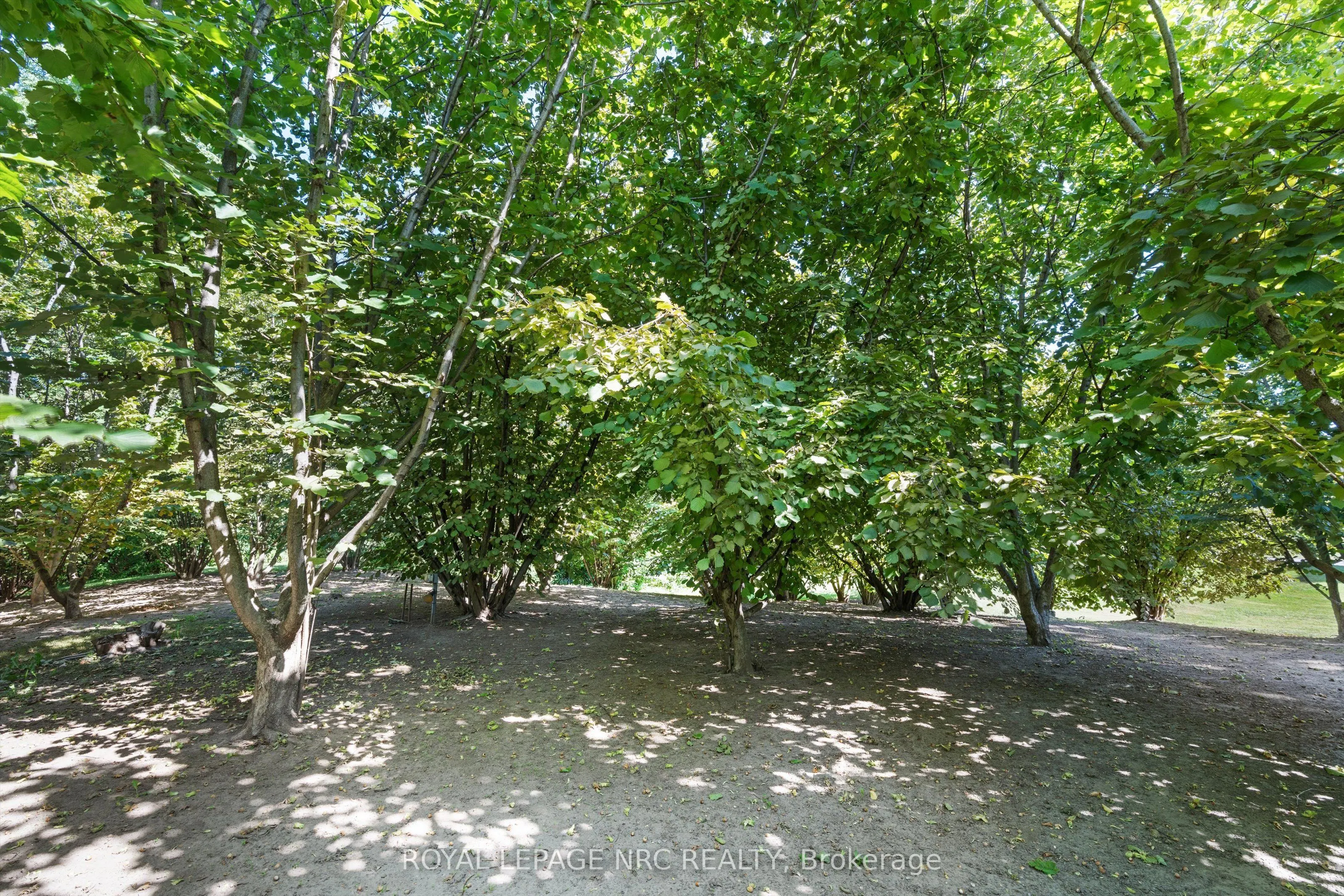 326 Lakeshore Road