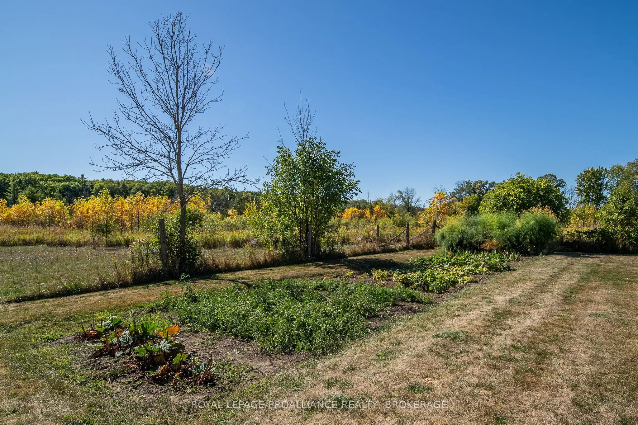 2292 Mcintyre Road