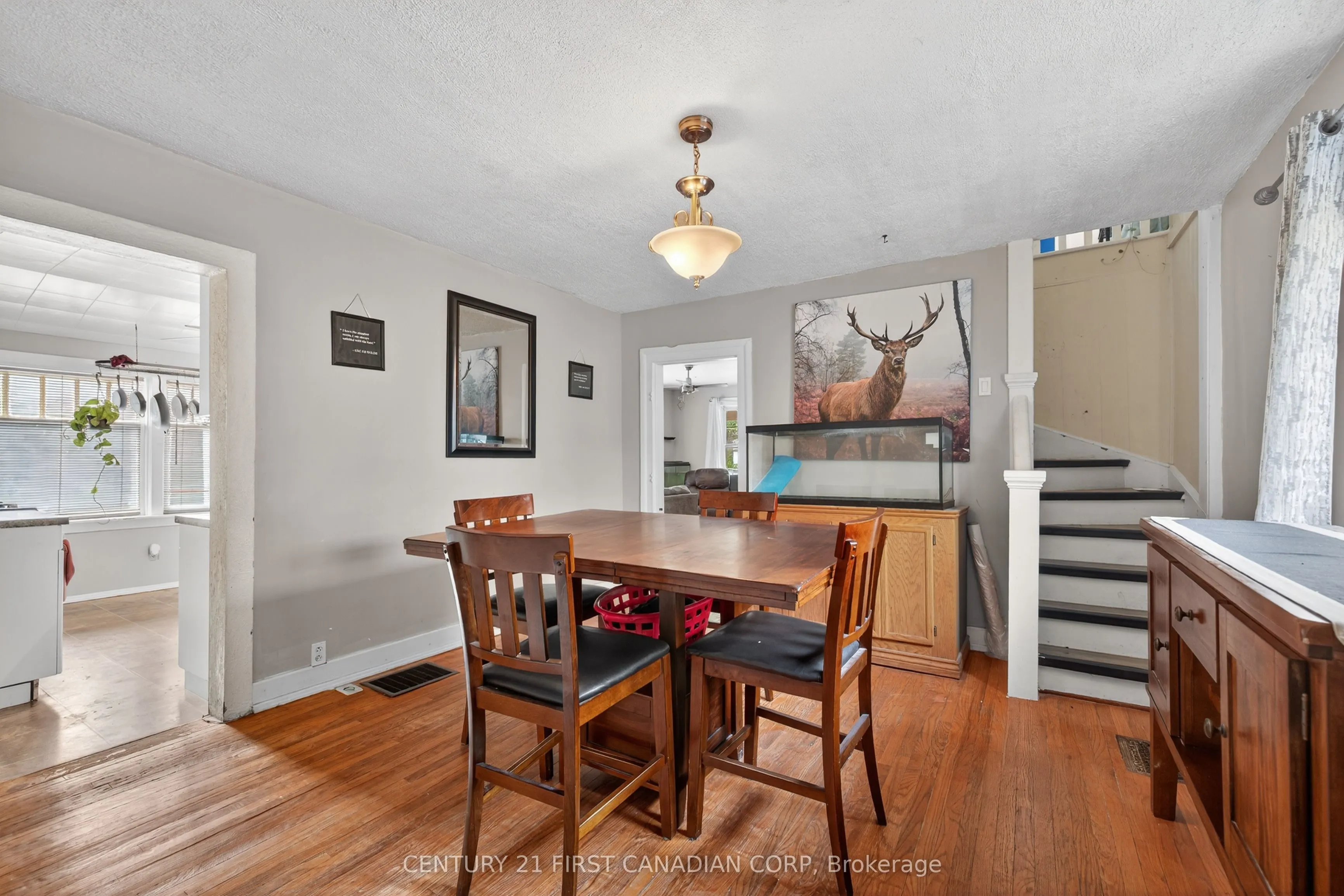 247 Ridout Street