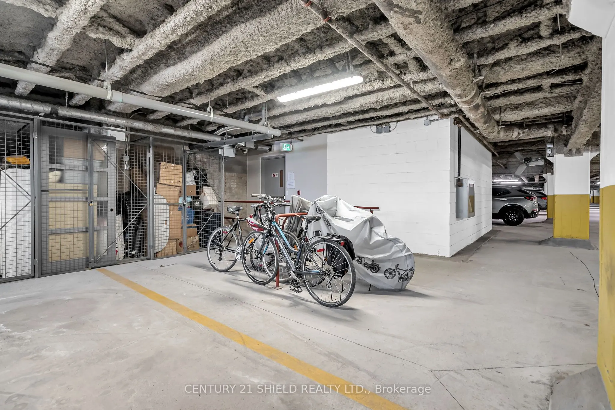 703 Cotton Mill Street, #312