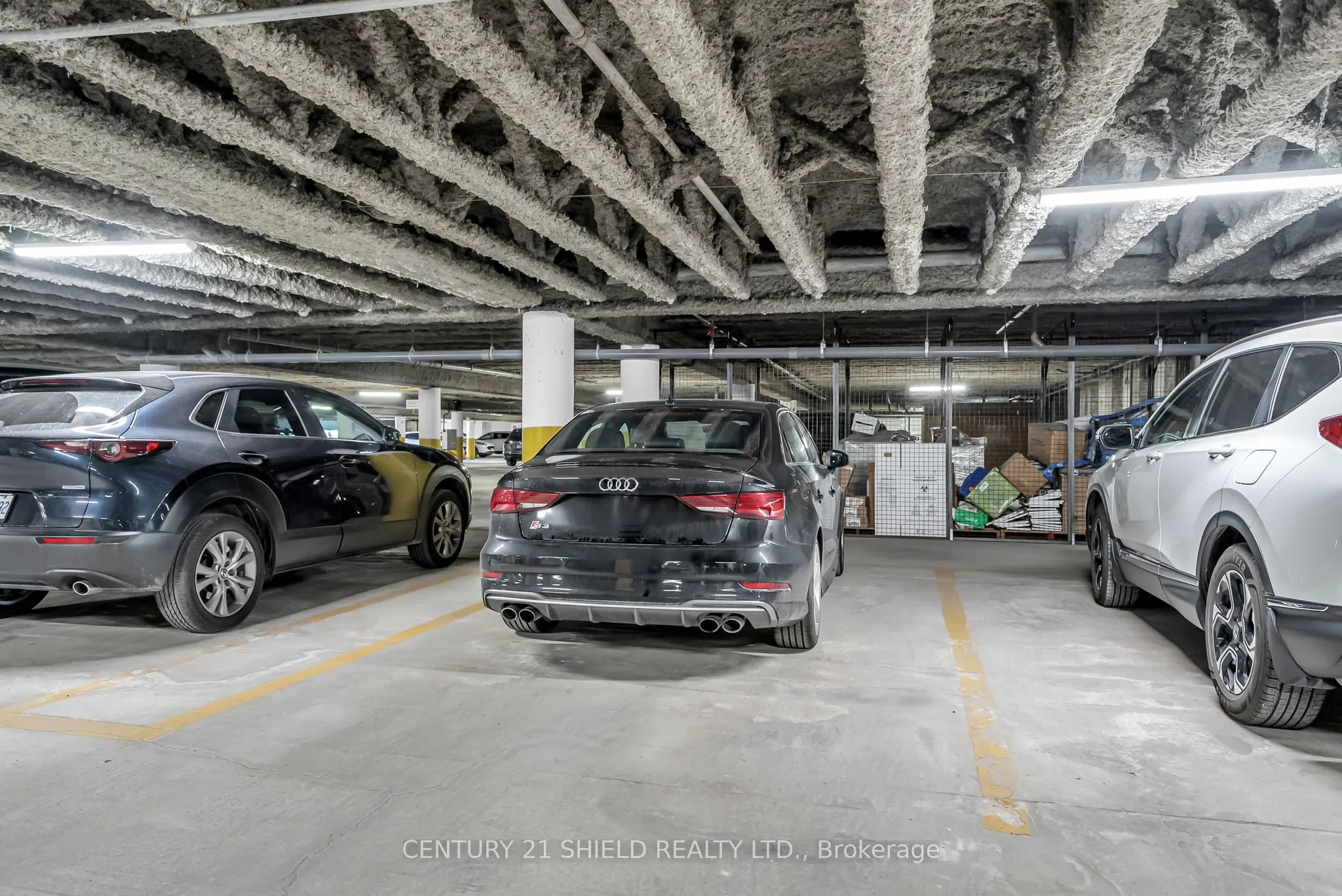 703 Cotton Mill Street, #312