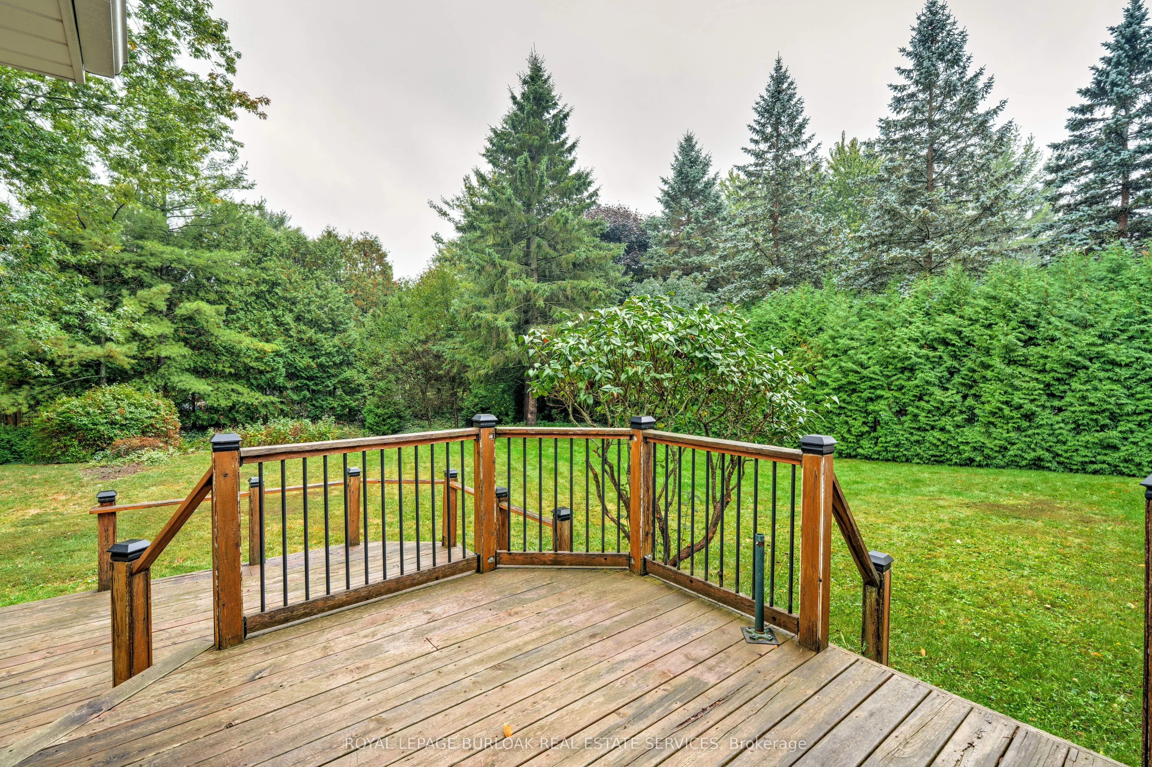 43 Acredale Drive