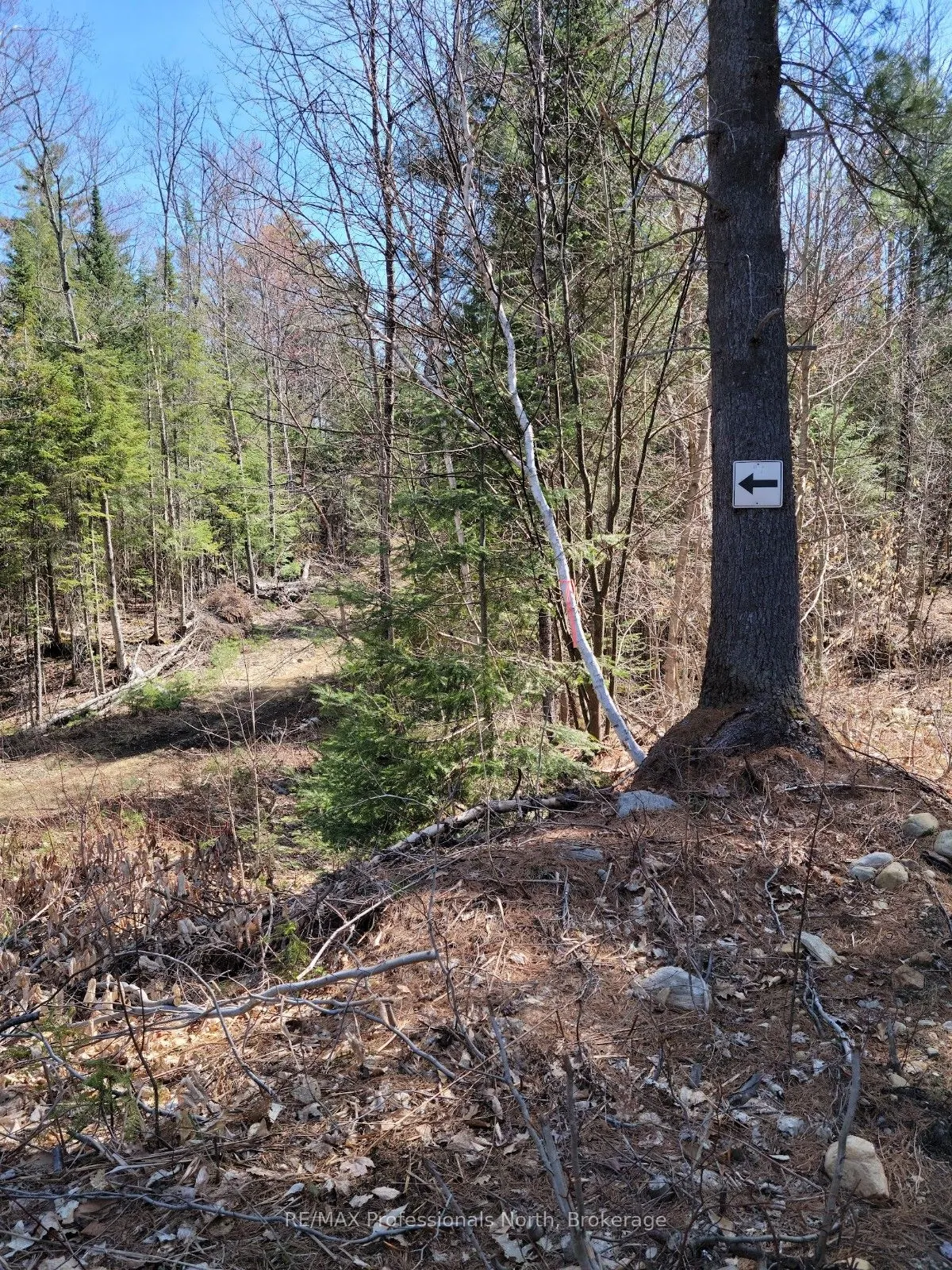 LOT 32 Concession 11