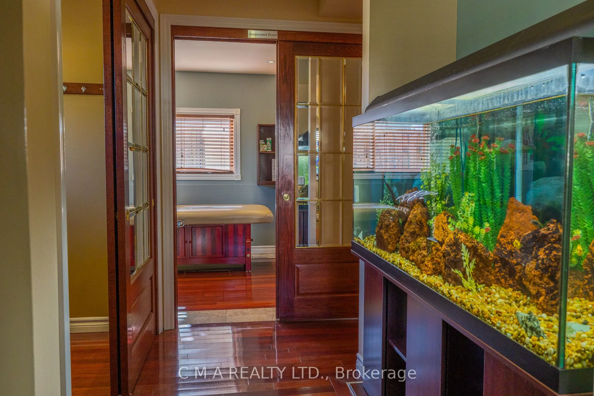 11 Belmont Avenue W