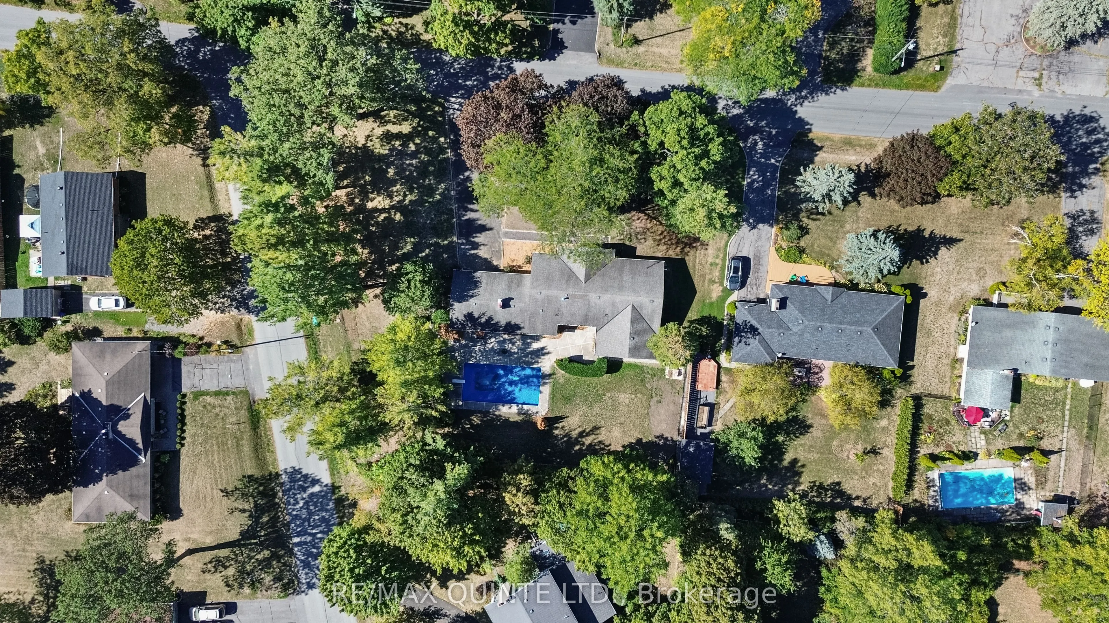 71 Selena Avenue