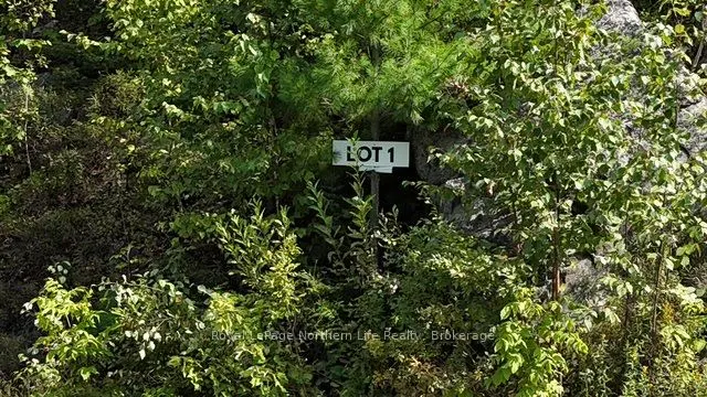 LOT 1 Fox Run Road