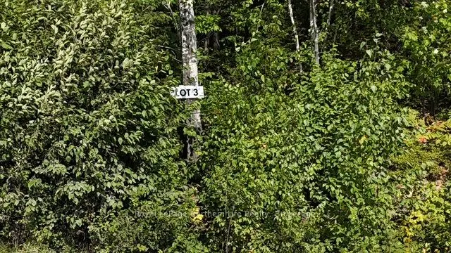 LOT 3 Fox Run Drive