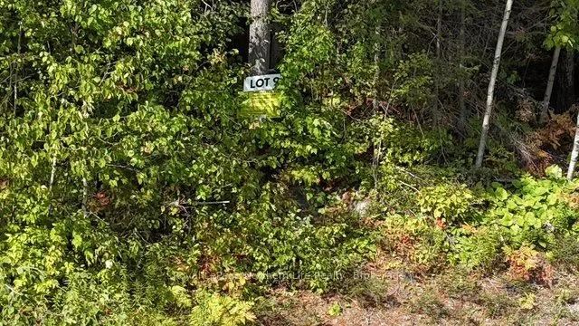 LOT 9 Fox Run Drive