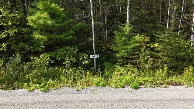 LOT 12 Fox Run Drive