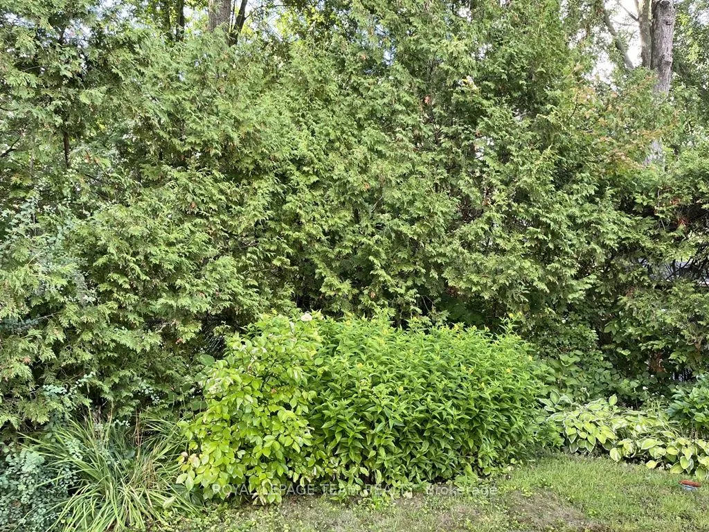 18 Diceman Crescent