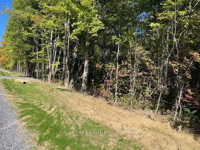 Pt 33A & Pt 33B Autumn Road N