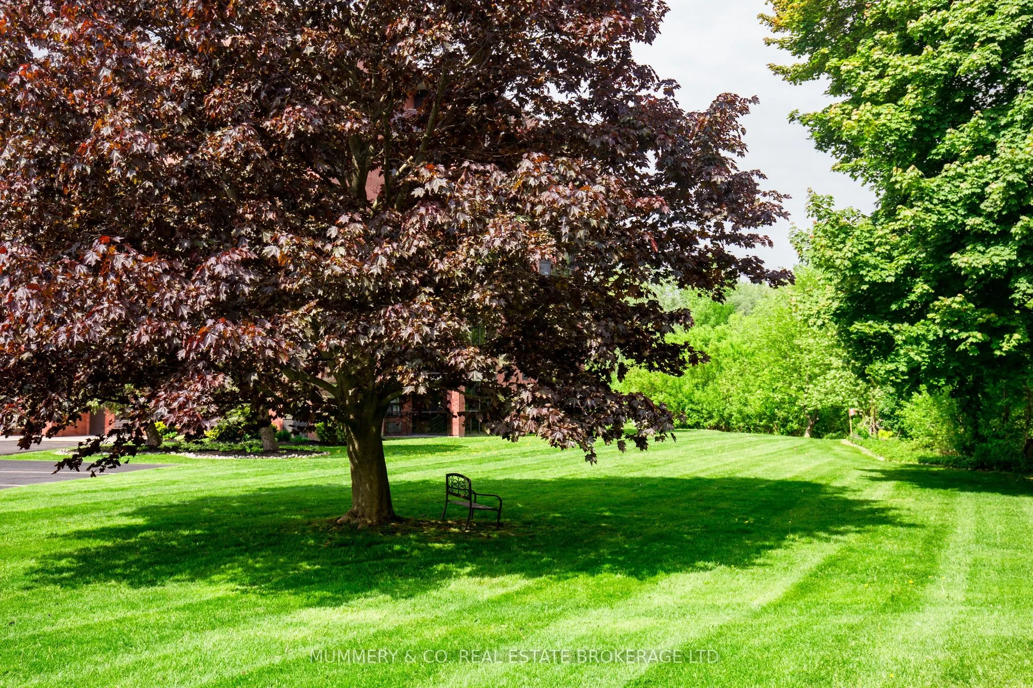 5 Mill Pond Court, #704