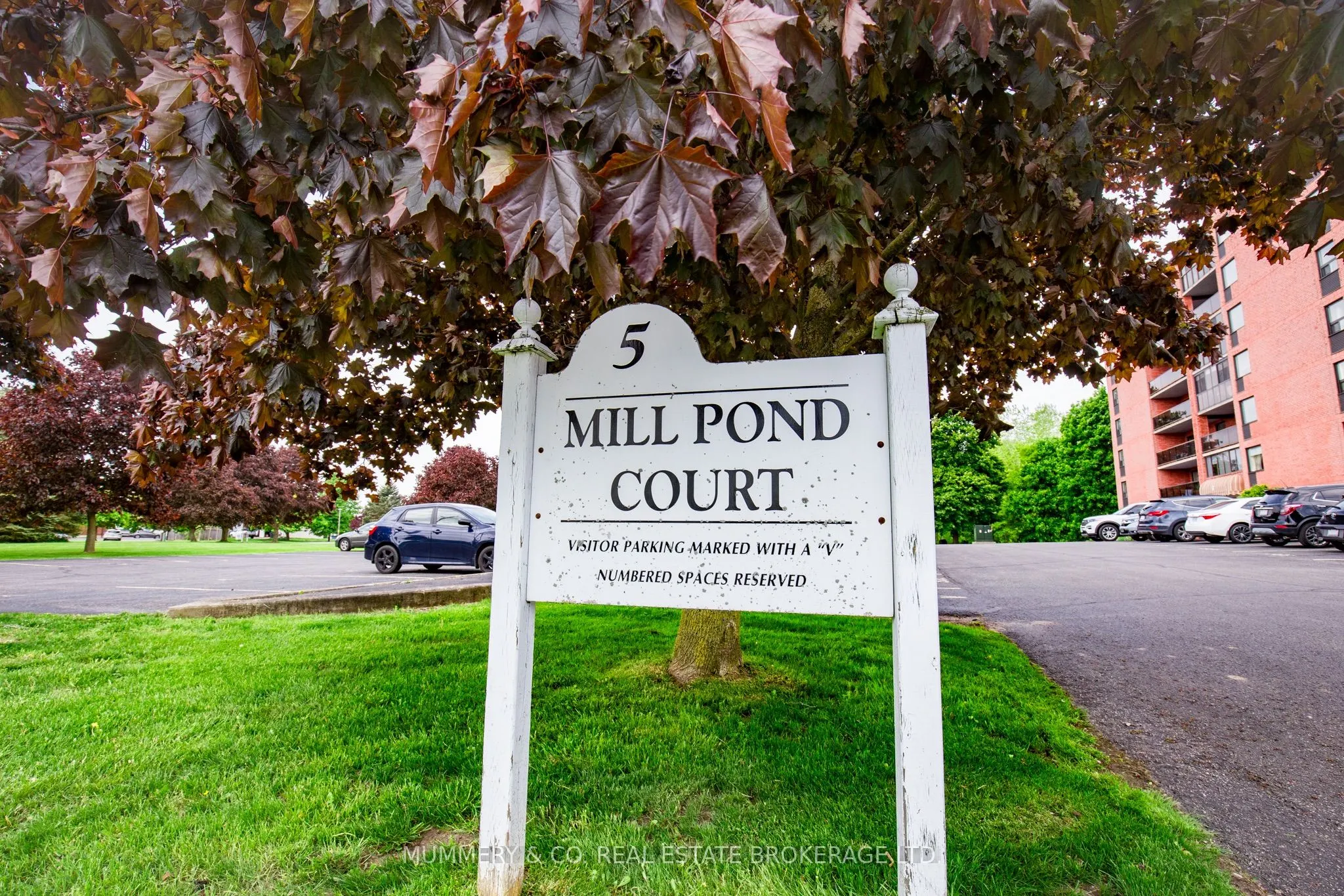 5 Mill Pond Court, #704