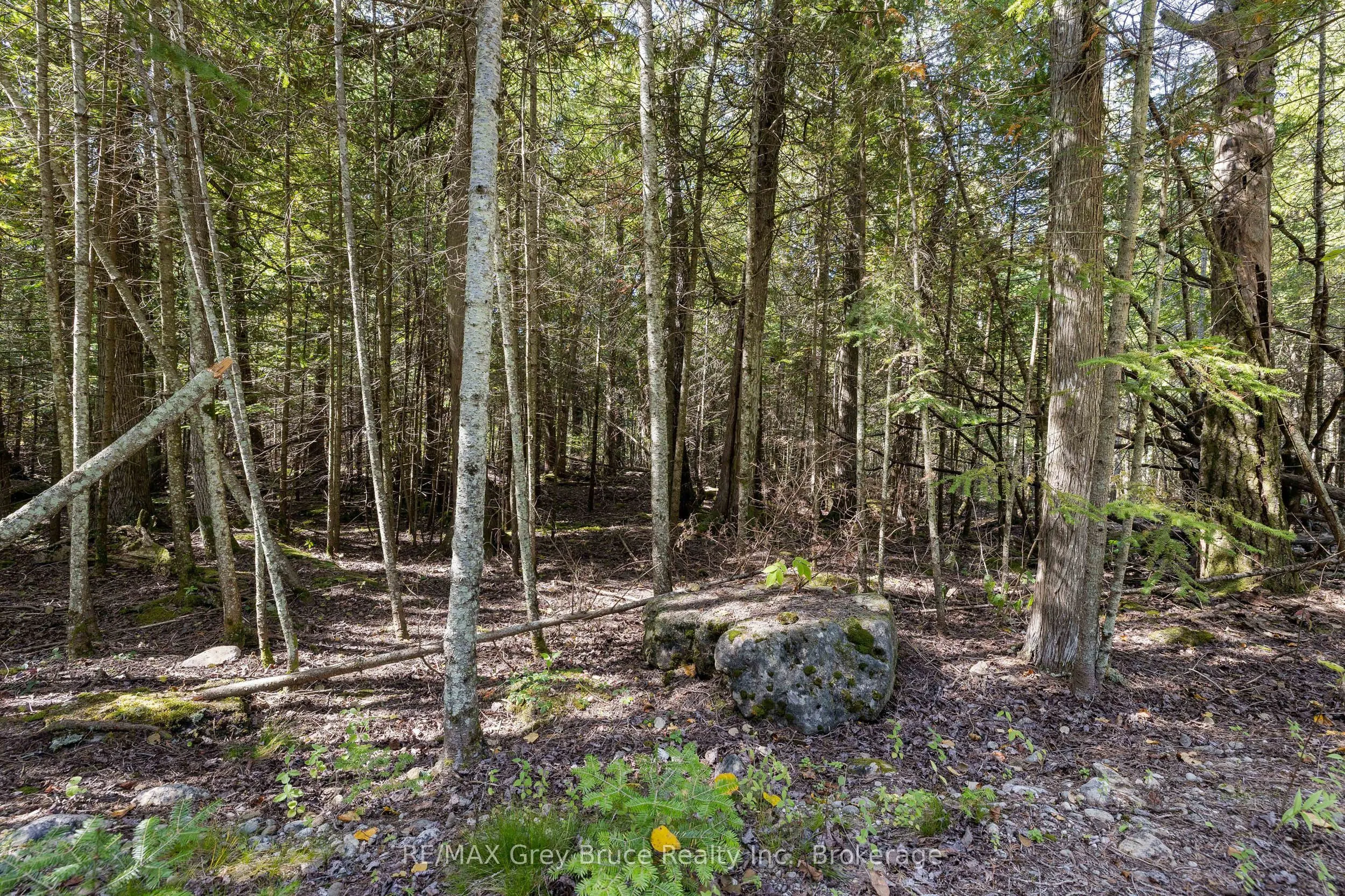 Part 2 Devils Glen