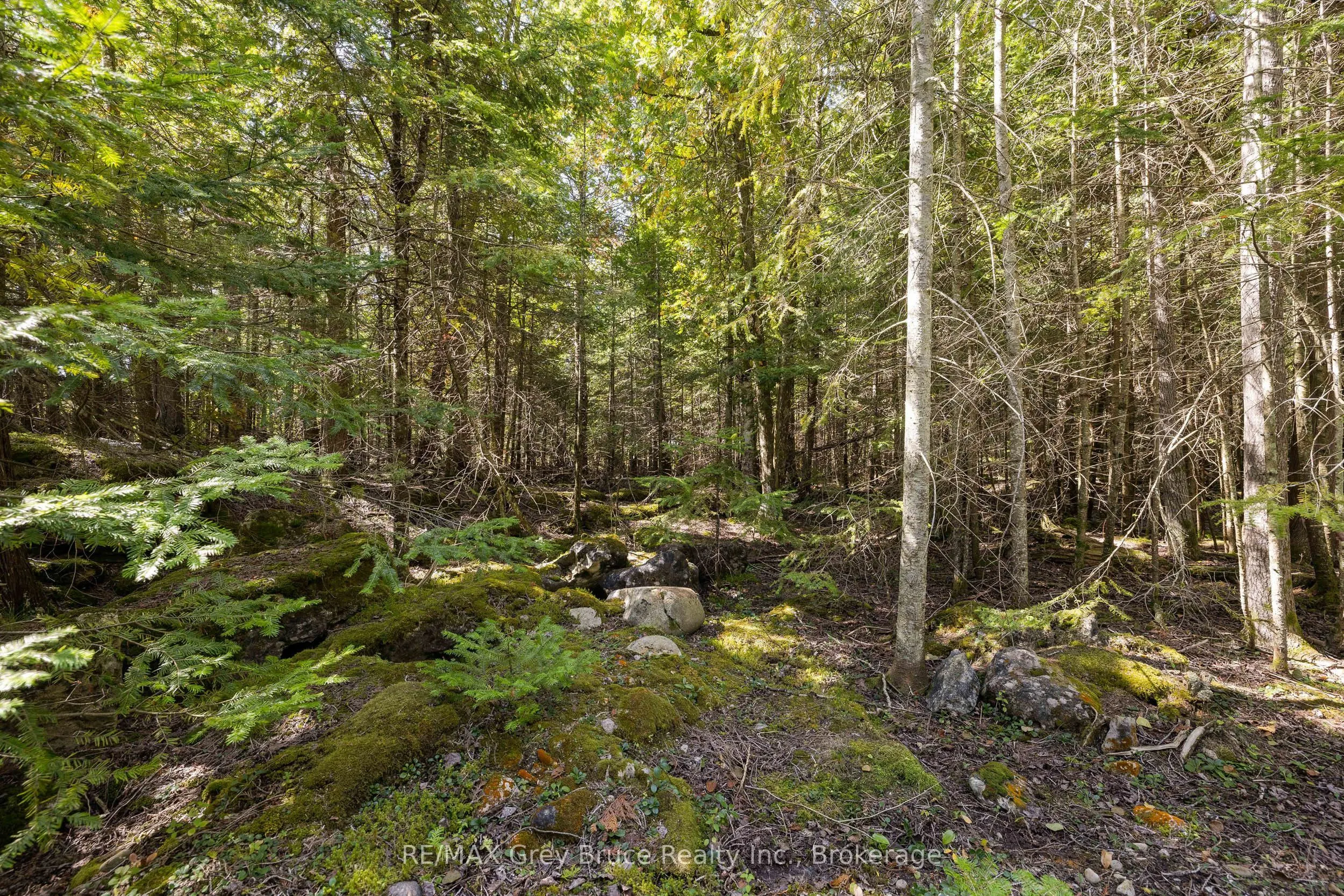 Part 2 Devils Glen