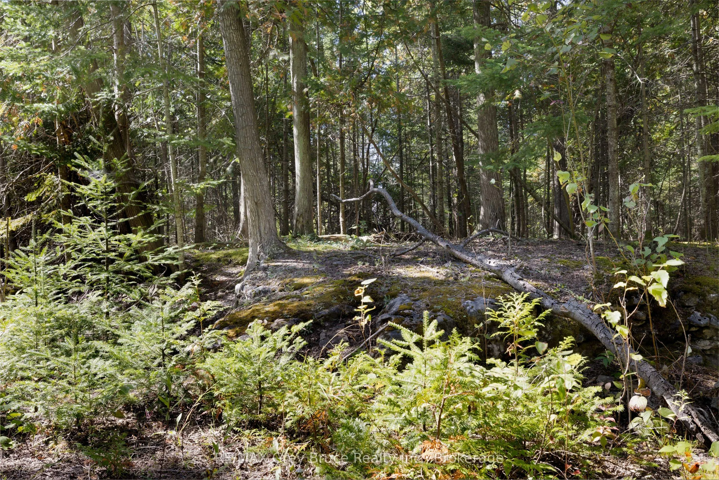 Part 2 Devils Glen