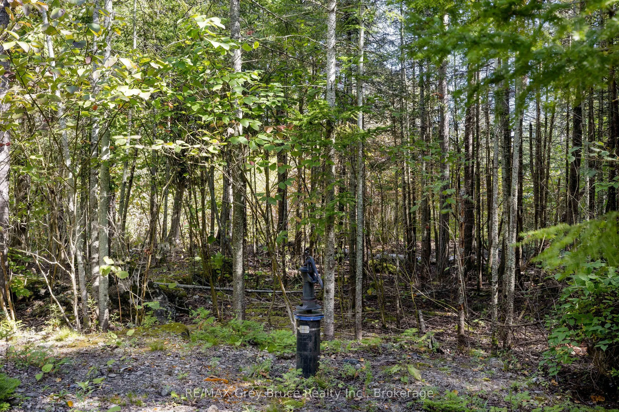 Part 2 Devils Glen