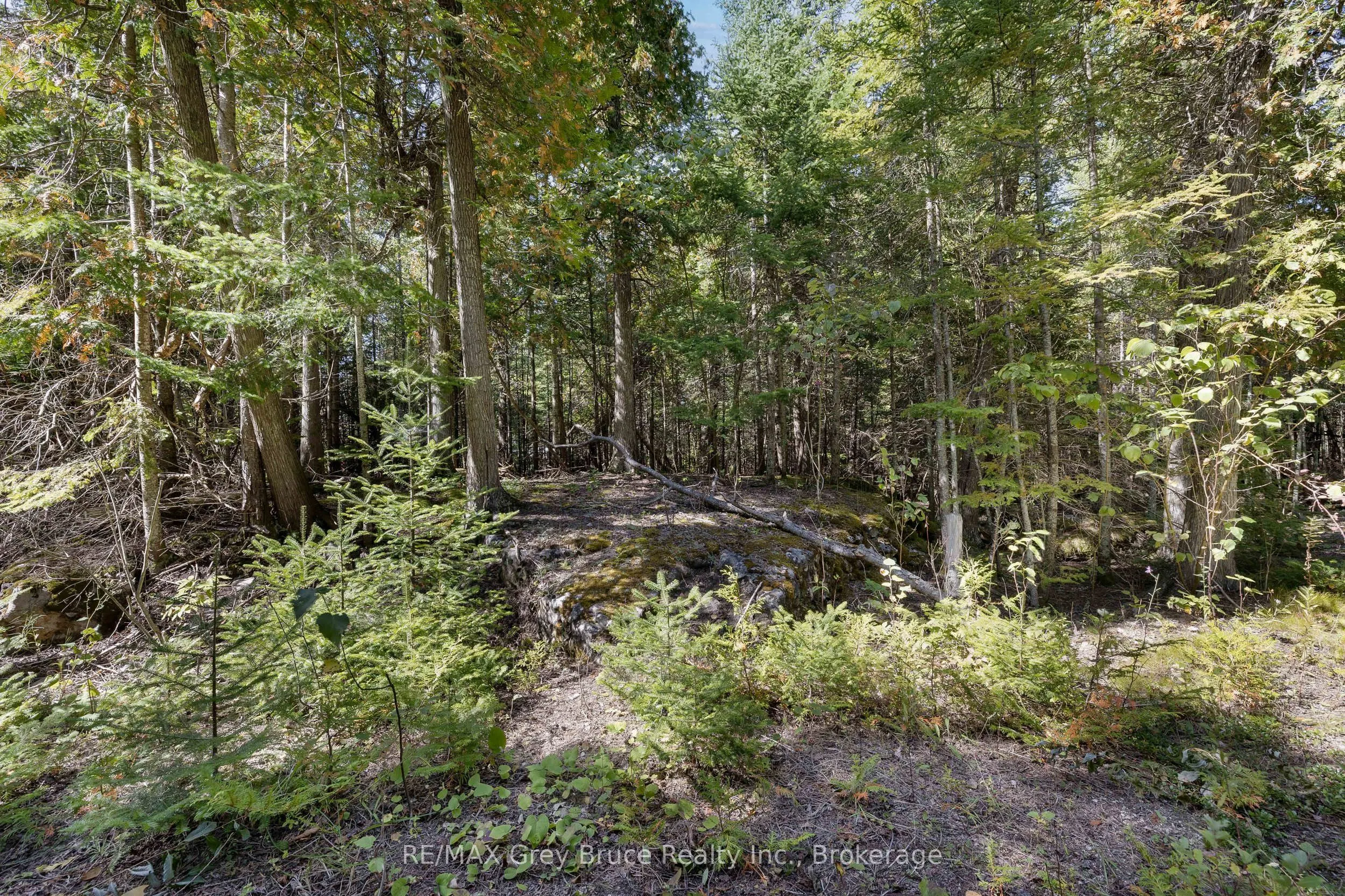 Part 2 Devils Glen