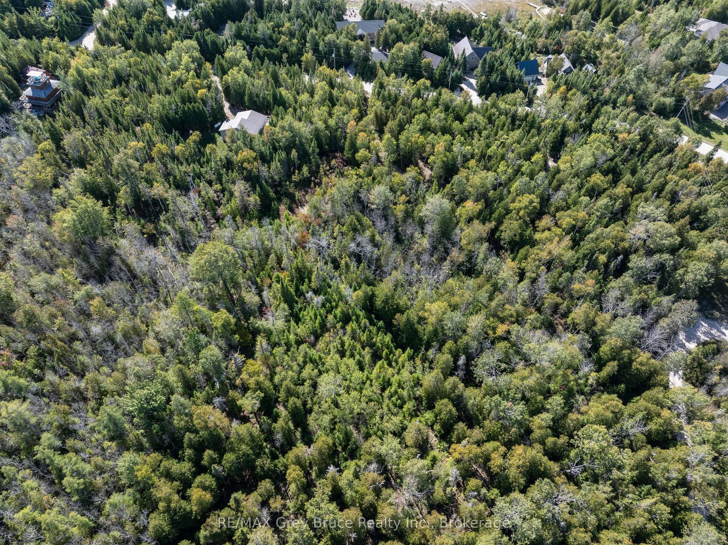 Part 2 Devils Glen