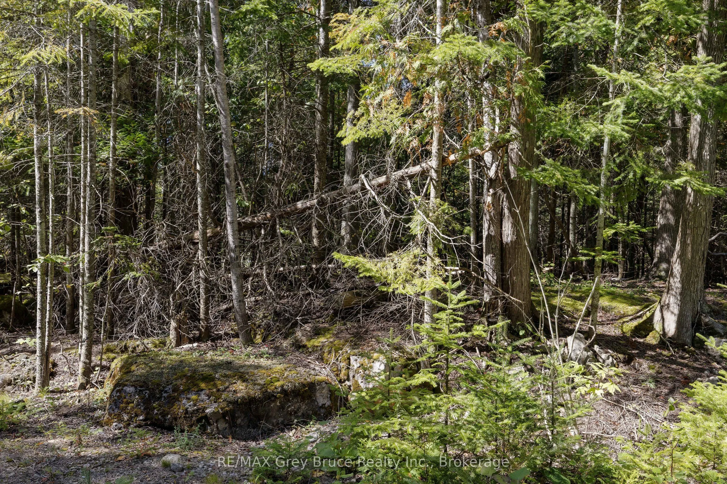 Part 2 Devils Glen