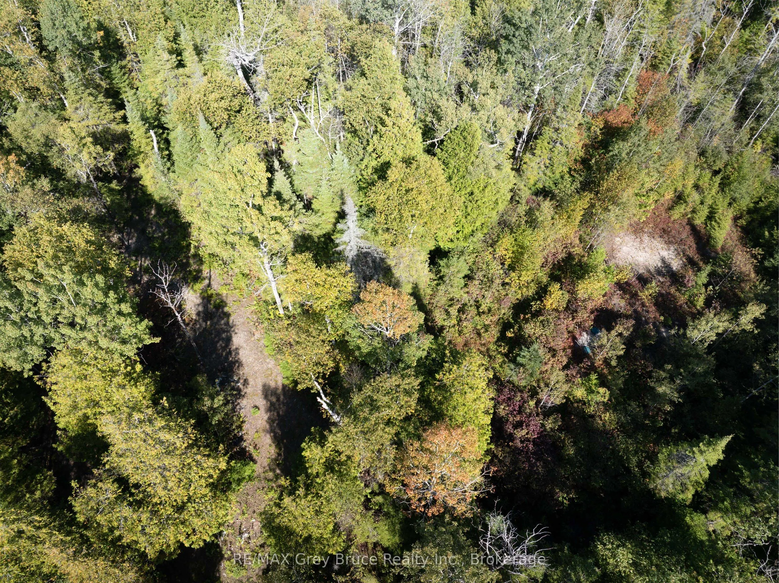 Part 2 Devils Glen