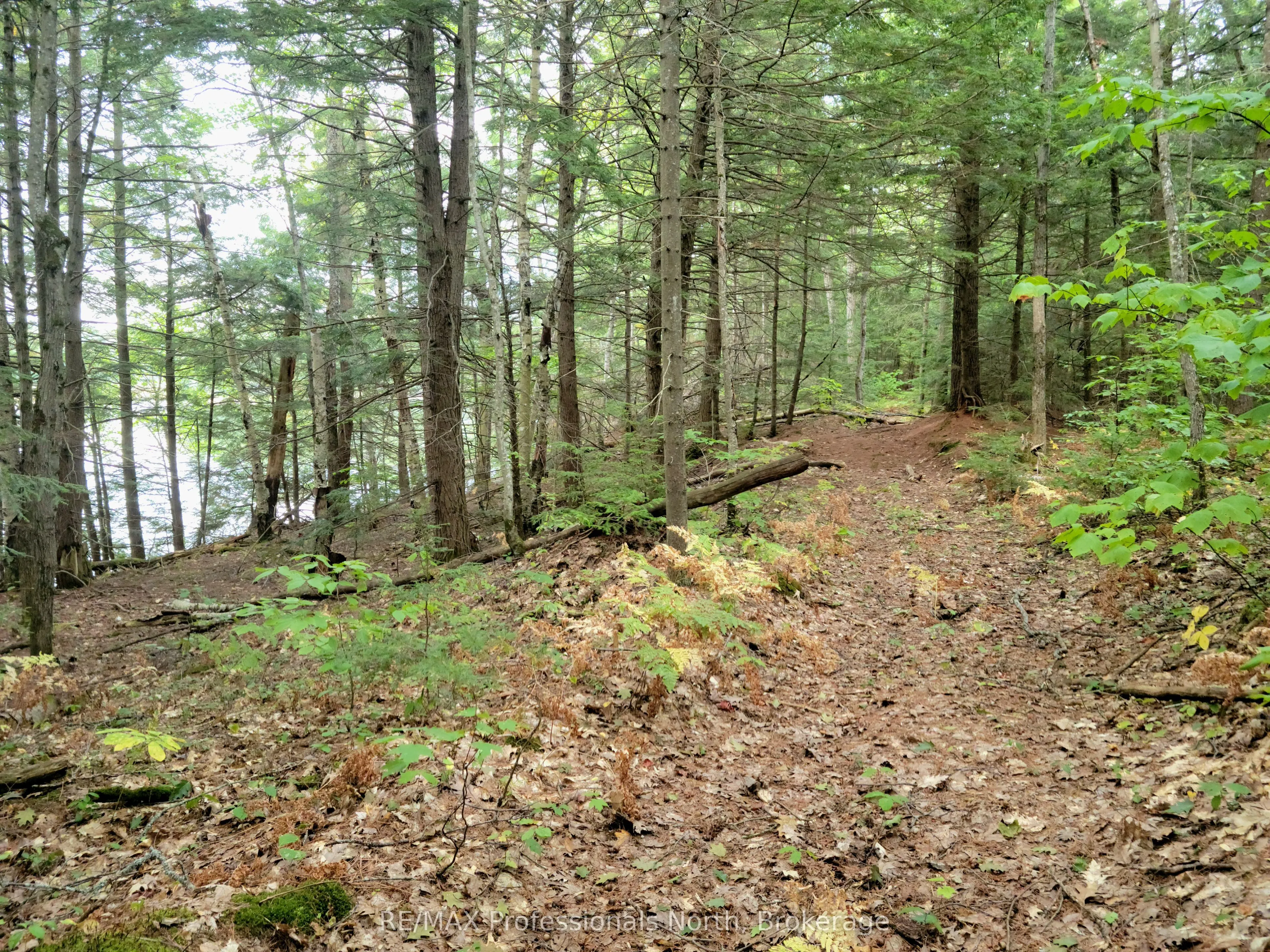 LOT 9 & 10 CONCESSION 5