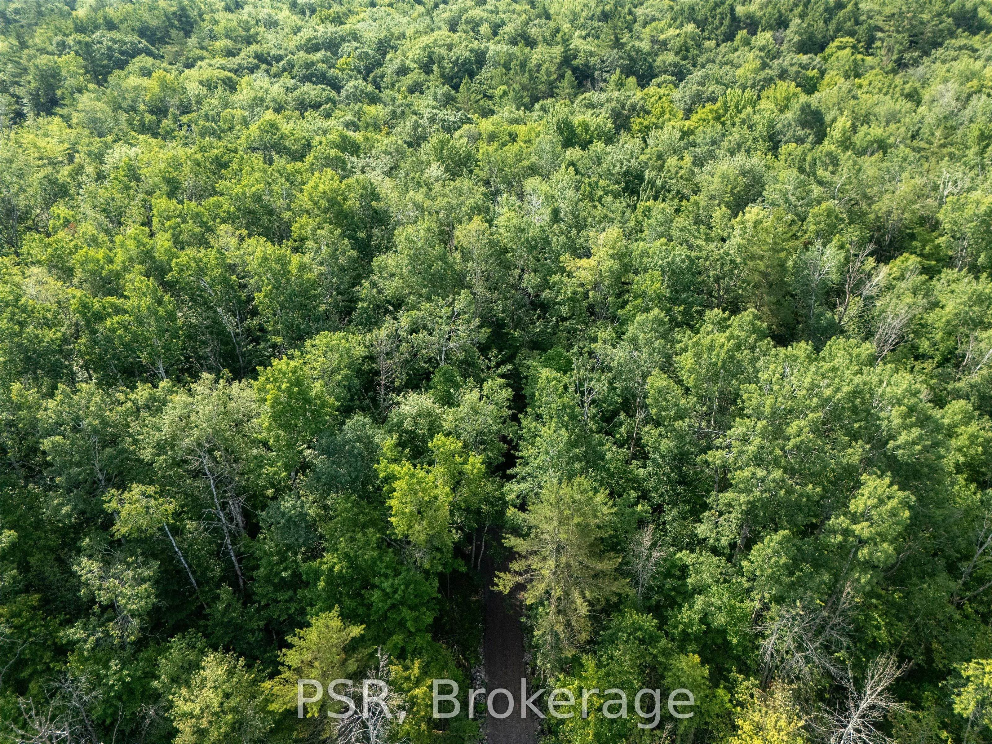 1465 Canning Road