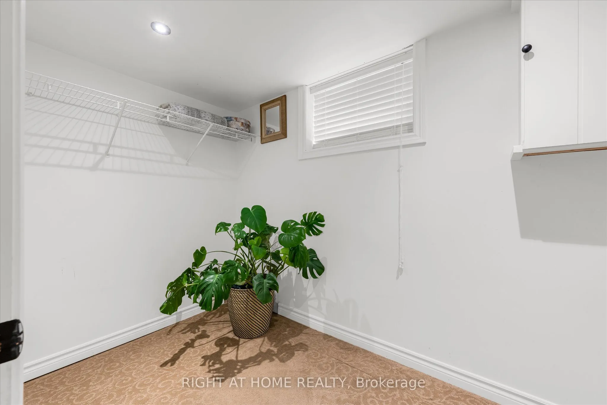 97 Bell Avenue