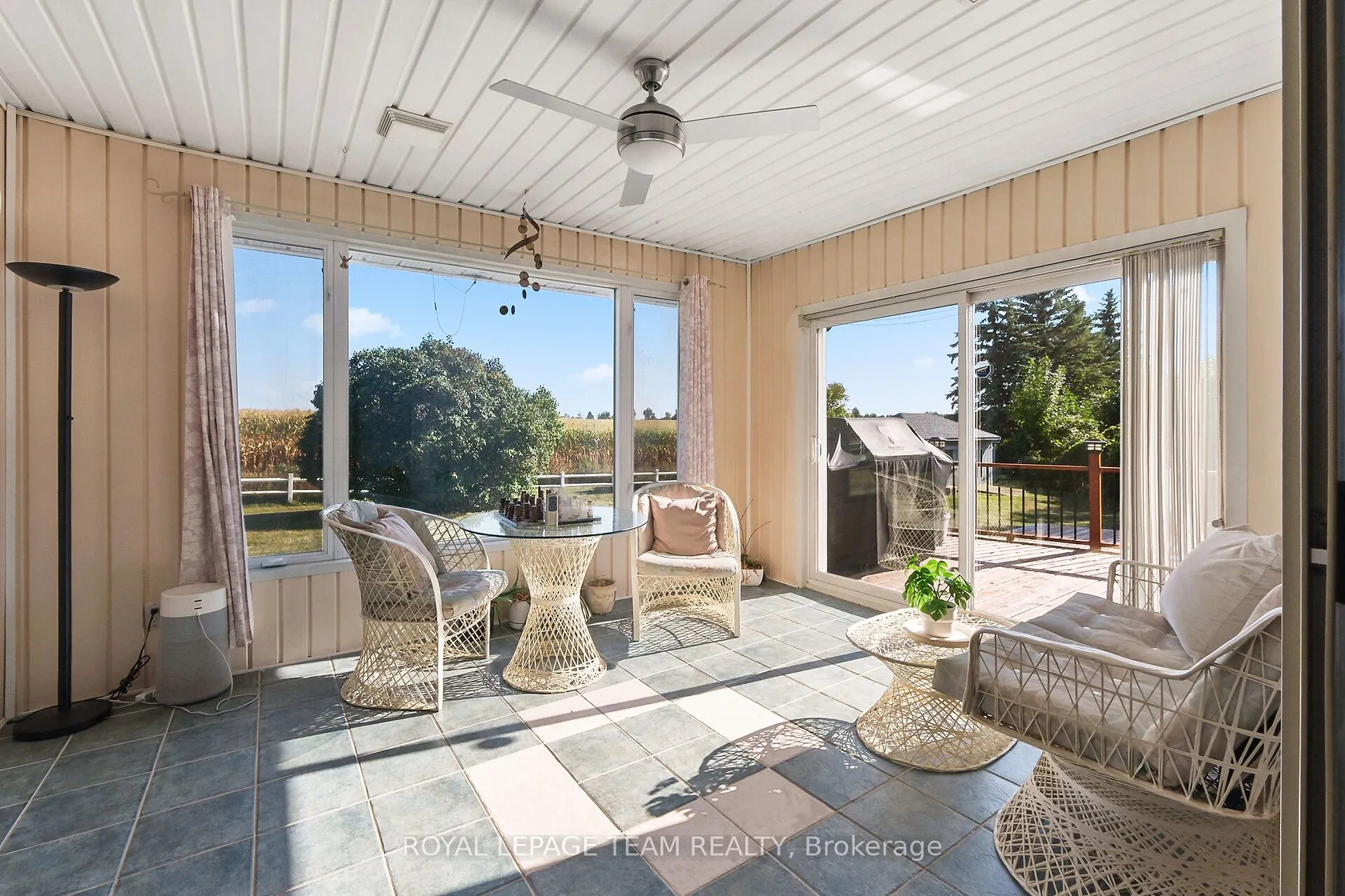 461 Campbells Side Road