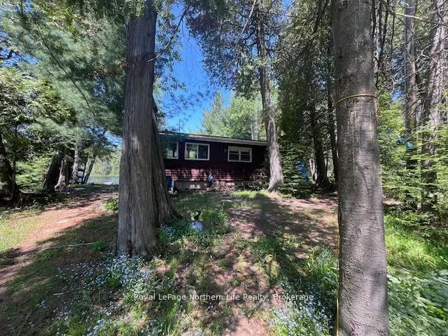 144 Lake Temagami Isl 25 Island