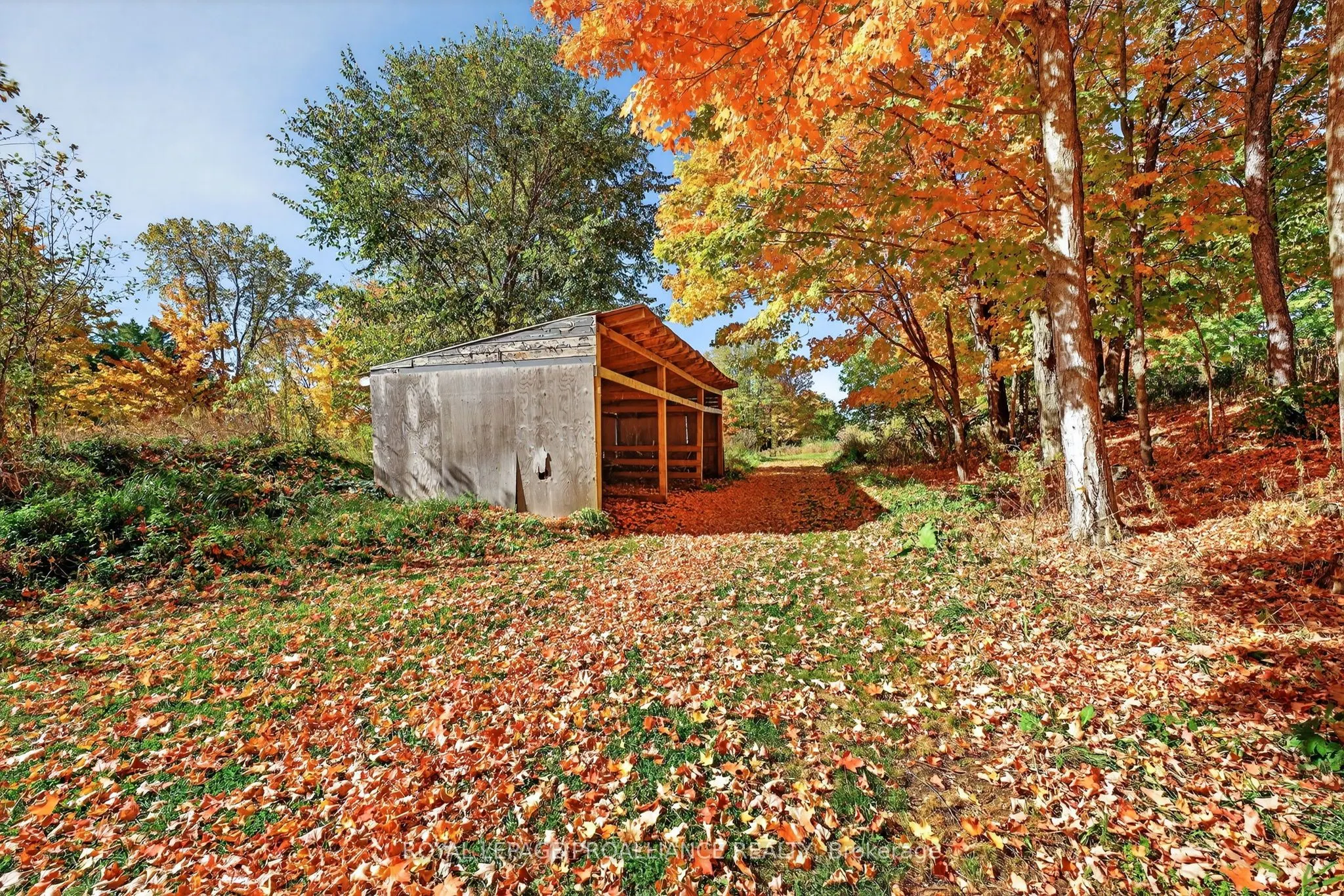1103 Cronk Road