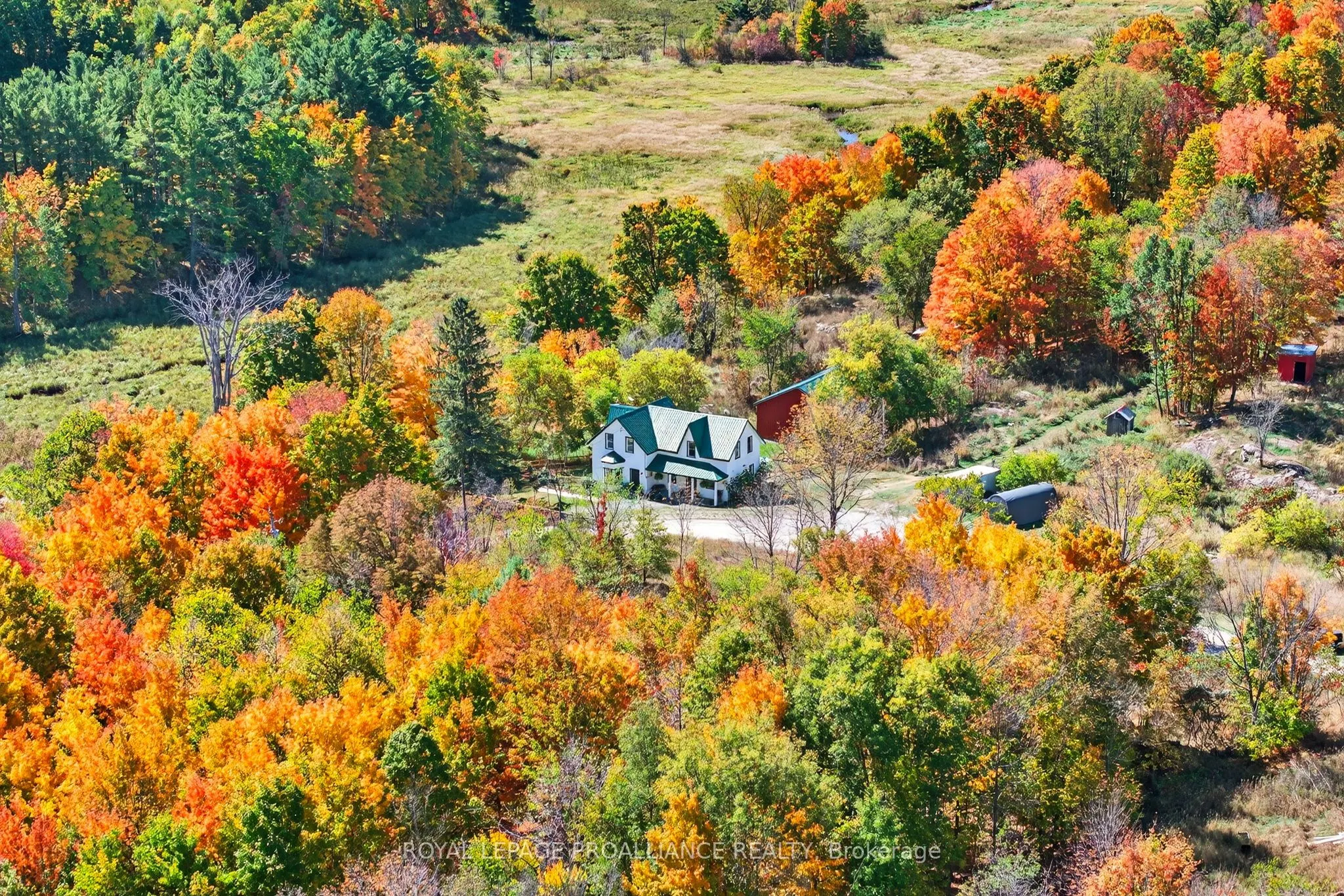 1103 Cronk Road