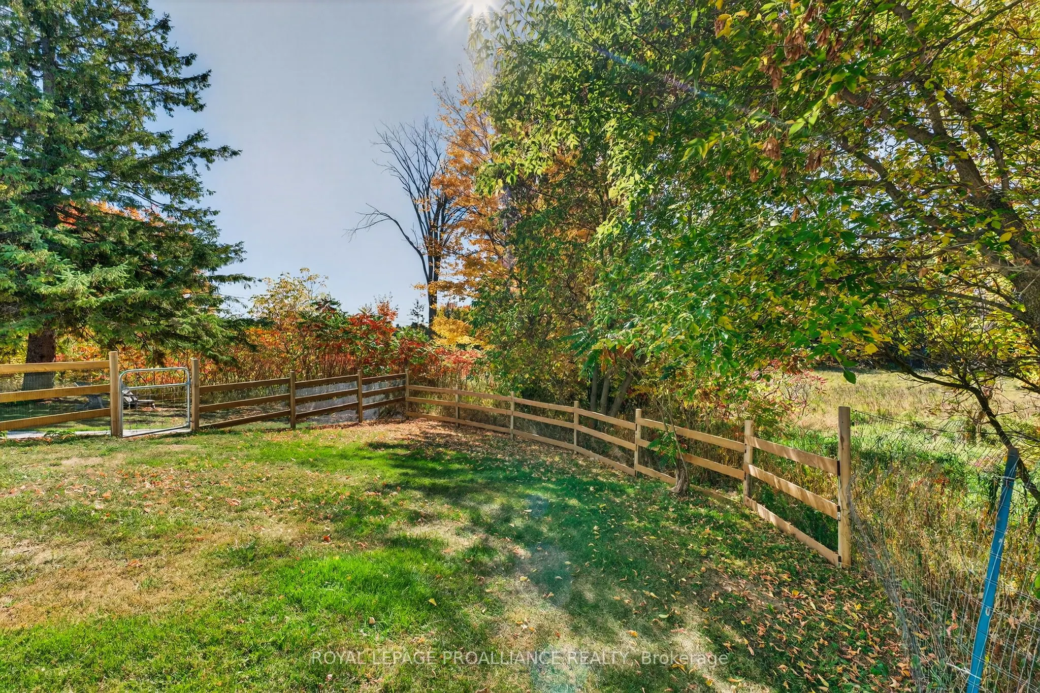 1103 Cronk Road